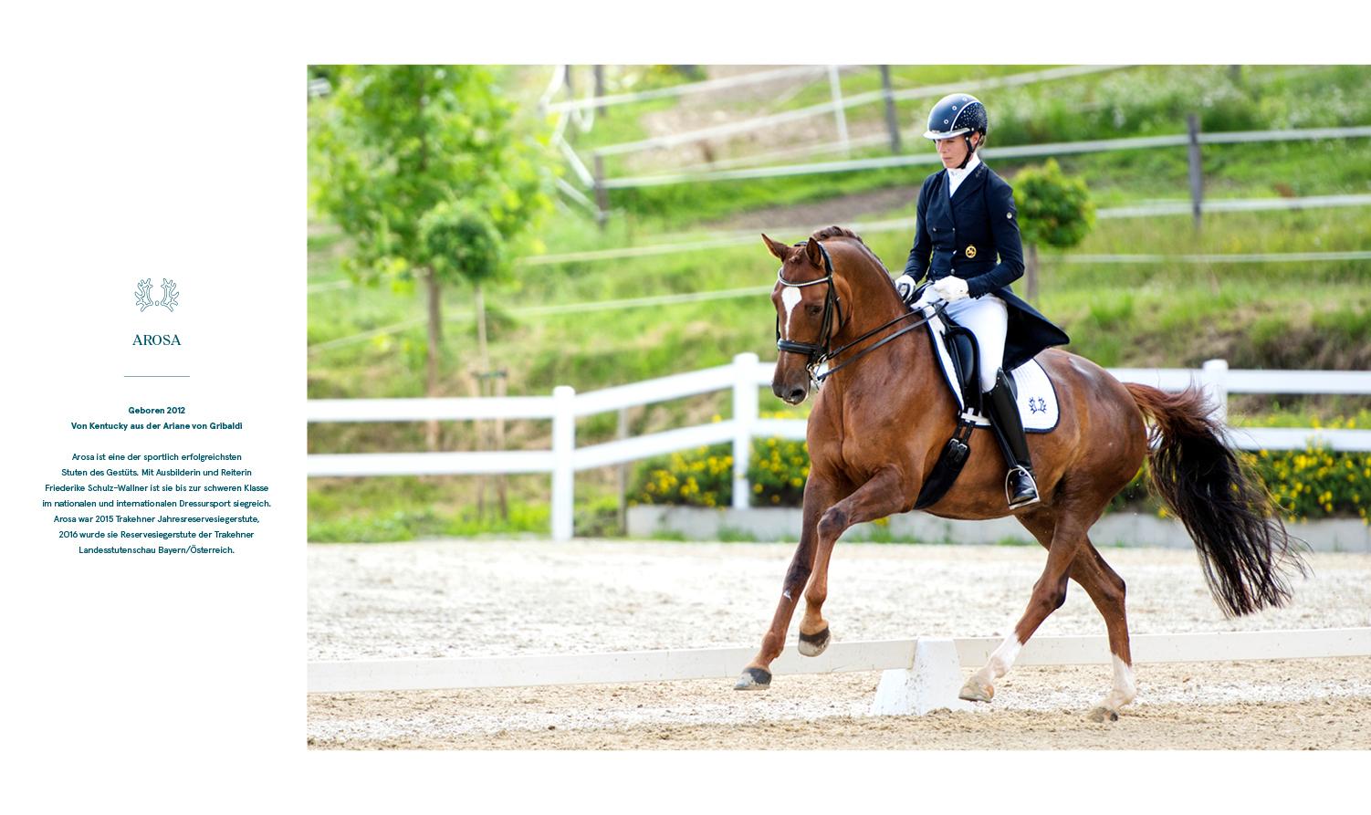 Beispielinhalt (Bild) Trakehner Gestüt Murtal