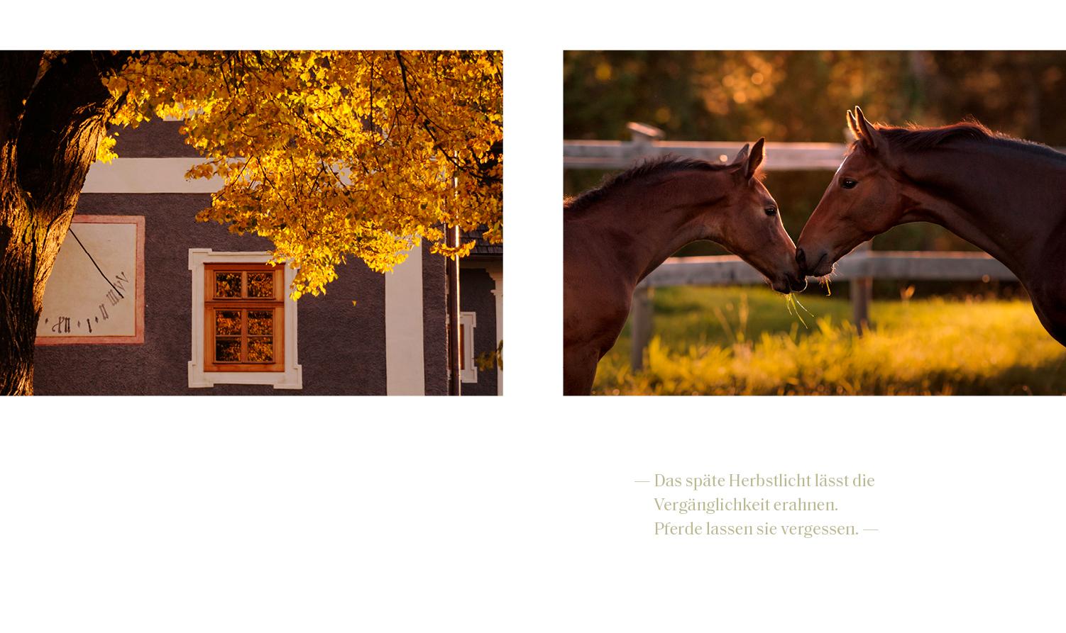 Beispielinhalt (Bild) Trakehner Gestüt Murtal