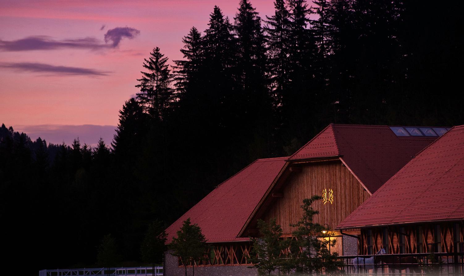 Beispielinhalt (Bild) Trakehner Gestüt Murtal