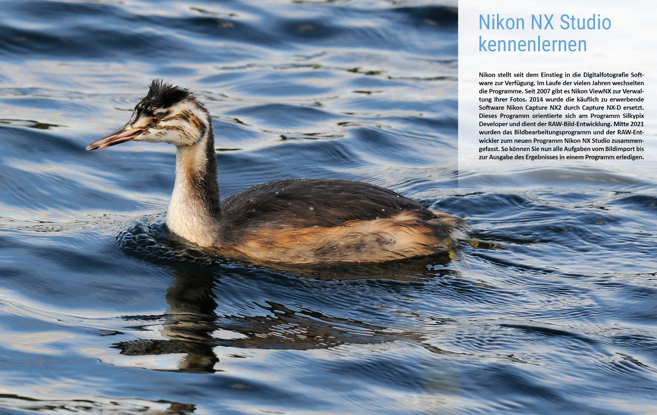 Beispielinhalt (Bild) Nikon NX Studio