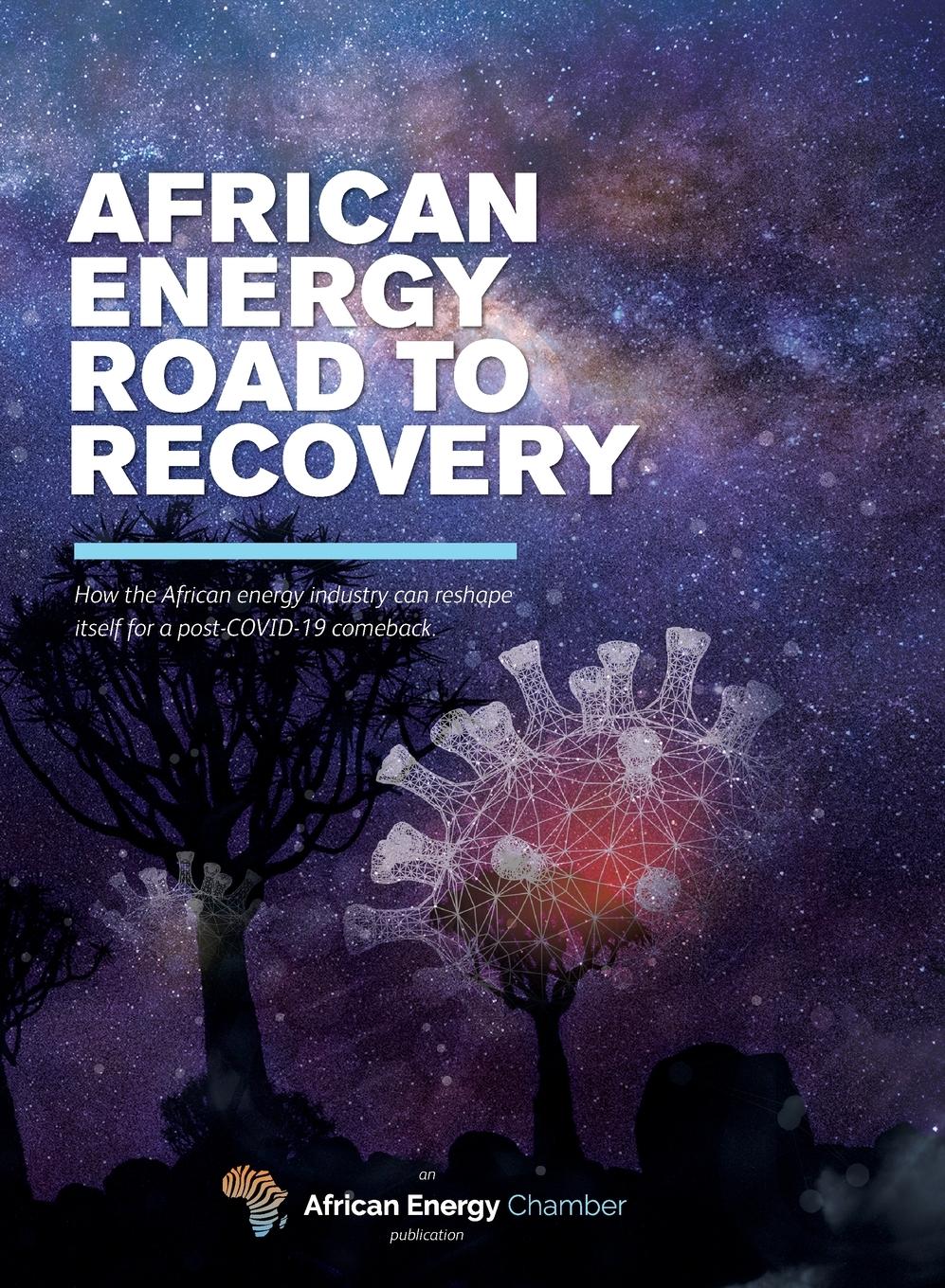 Vorderes Coverbild African Energy Road to Recovery