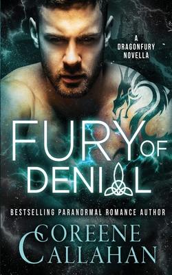 Vorderes Coverbild Fury of Denial