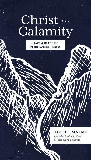 Vorderes Coverbild Christ and Calamity