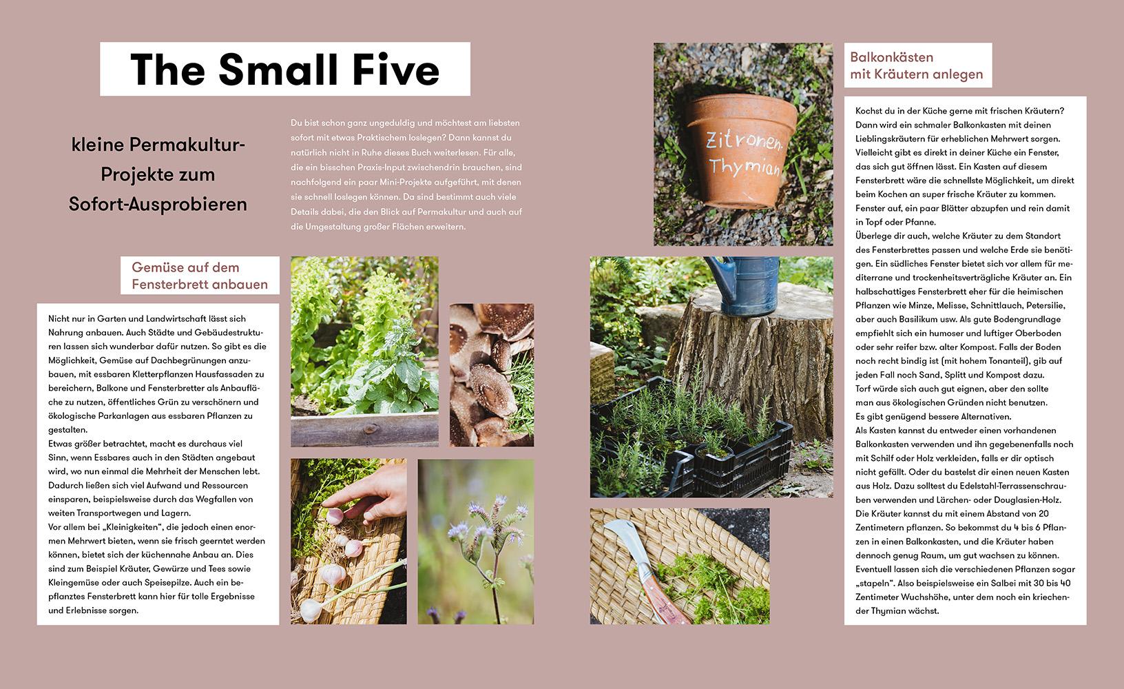 Beispielinhalt (Bild) Letzter Ausweg: Permakultur