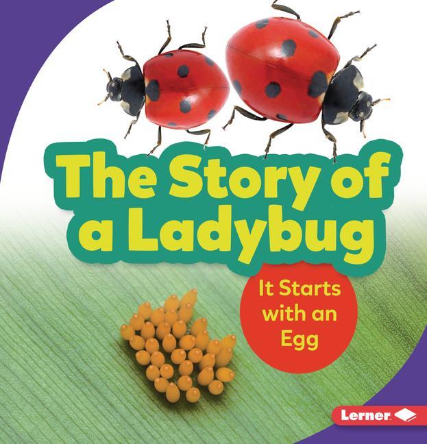 Vorderes Coverbild The Story of a Ladybug