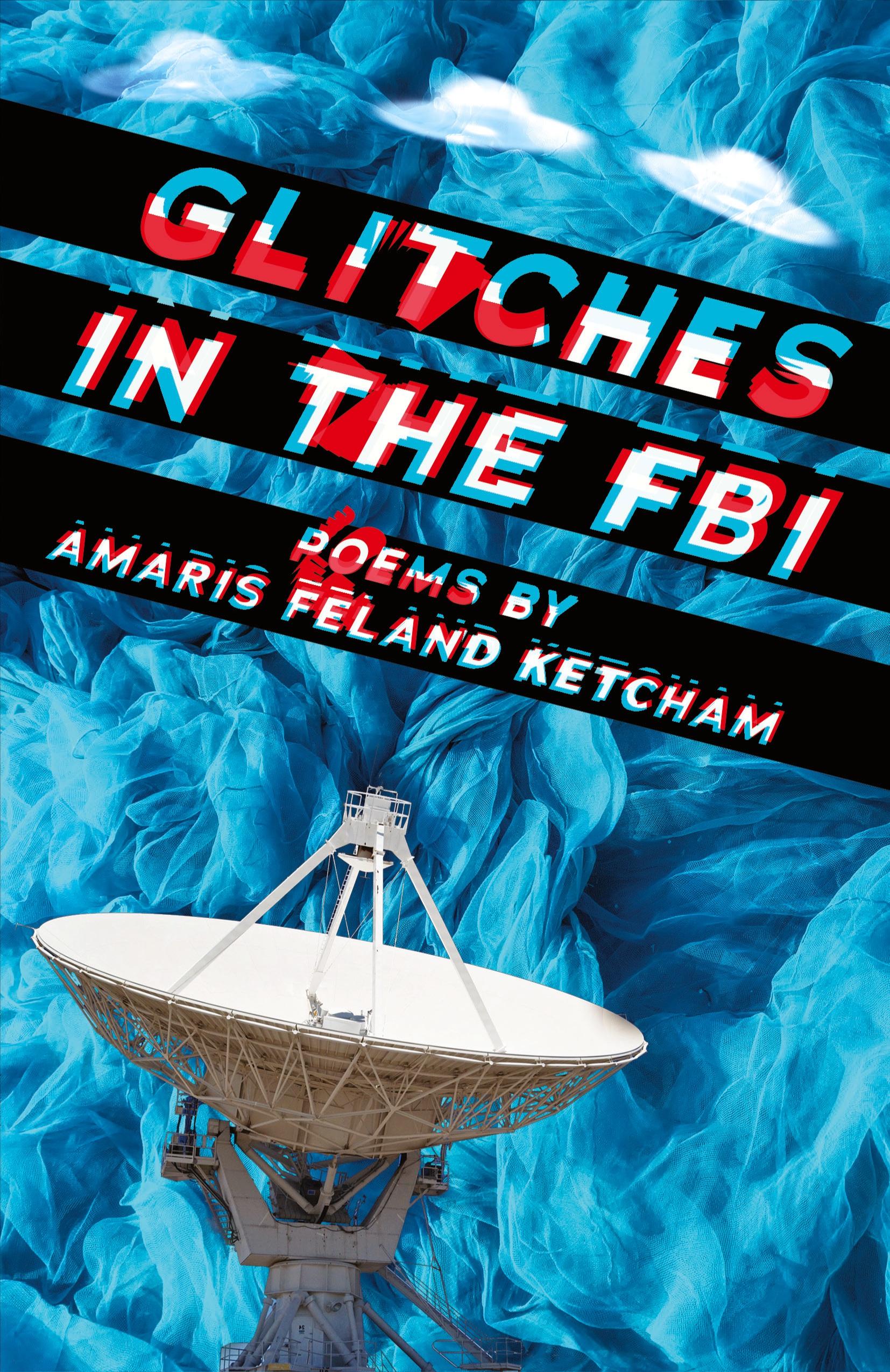 Vorderes Coverbild Glitches in the FBI