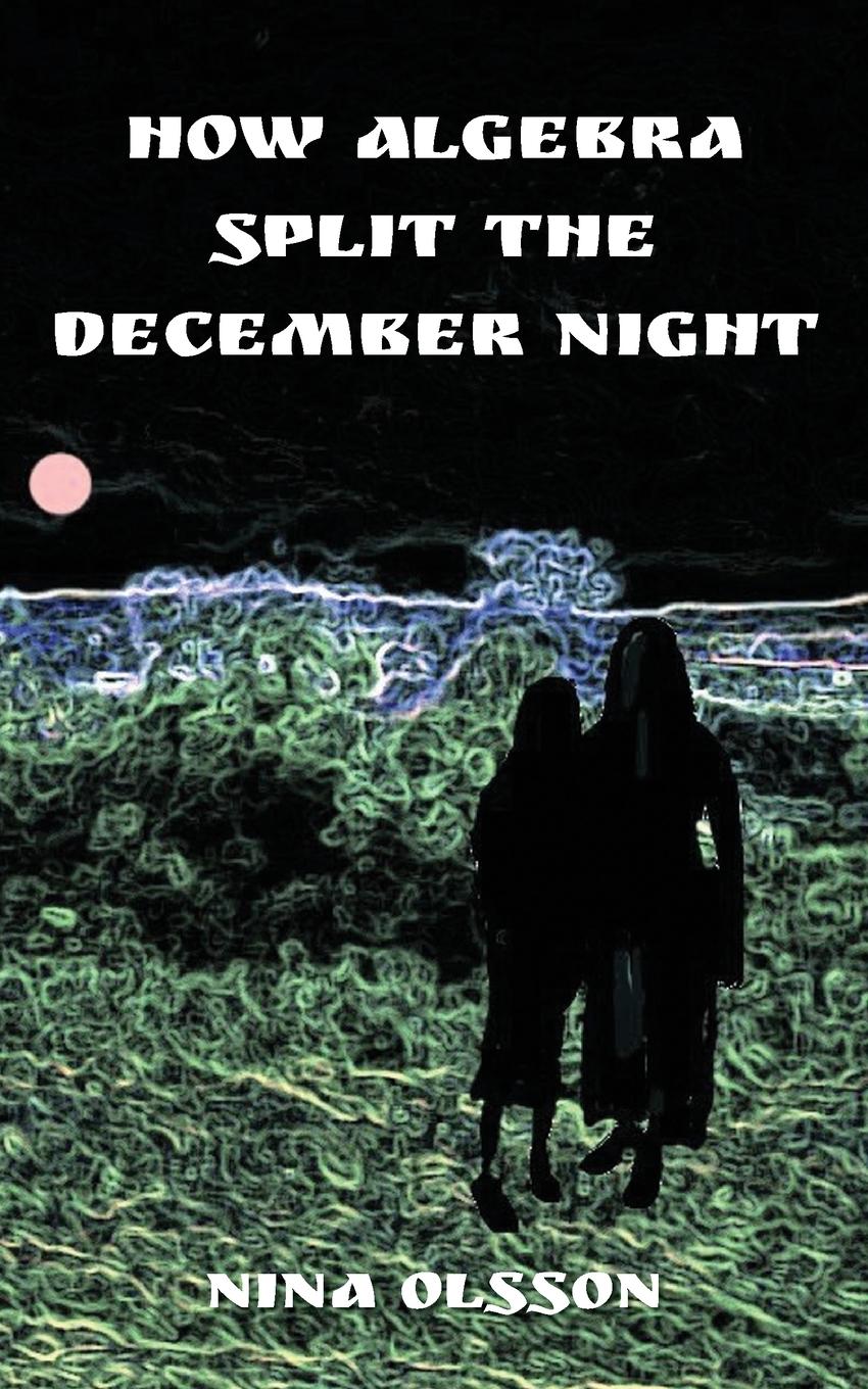 Vorderes Coverbild How Algebra Split the December Night