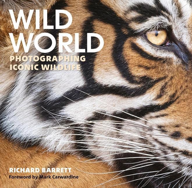 Vorderes Coverbild Wild World