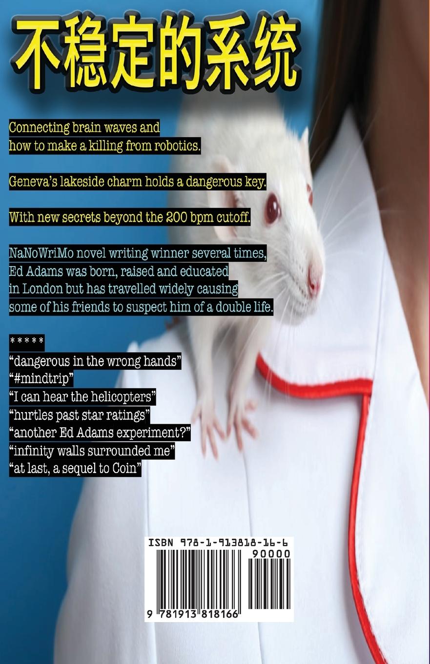 Rückseitencover An Unstable System