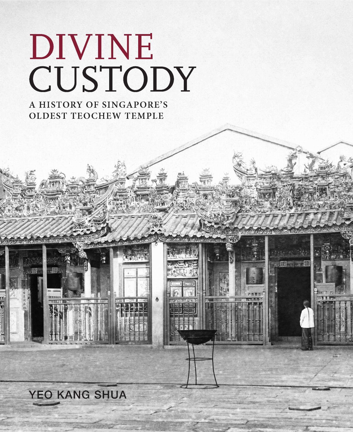 Vorderes Coverbild Divine Custody