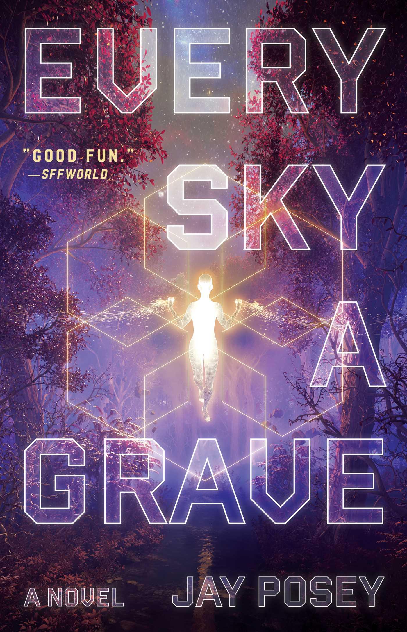 Vorderes Coverbild Every Sky a Grave