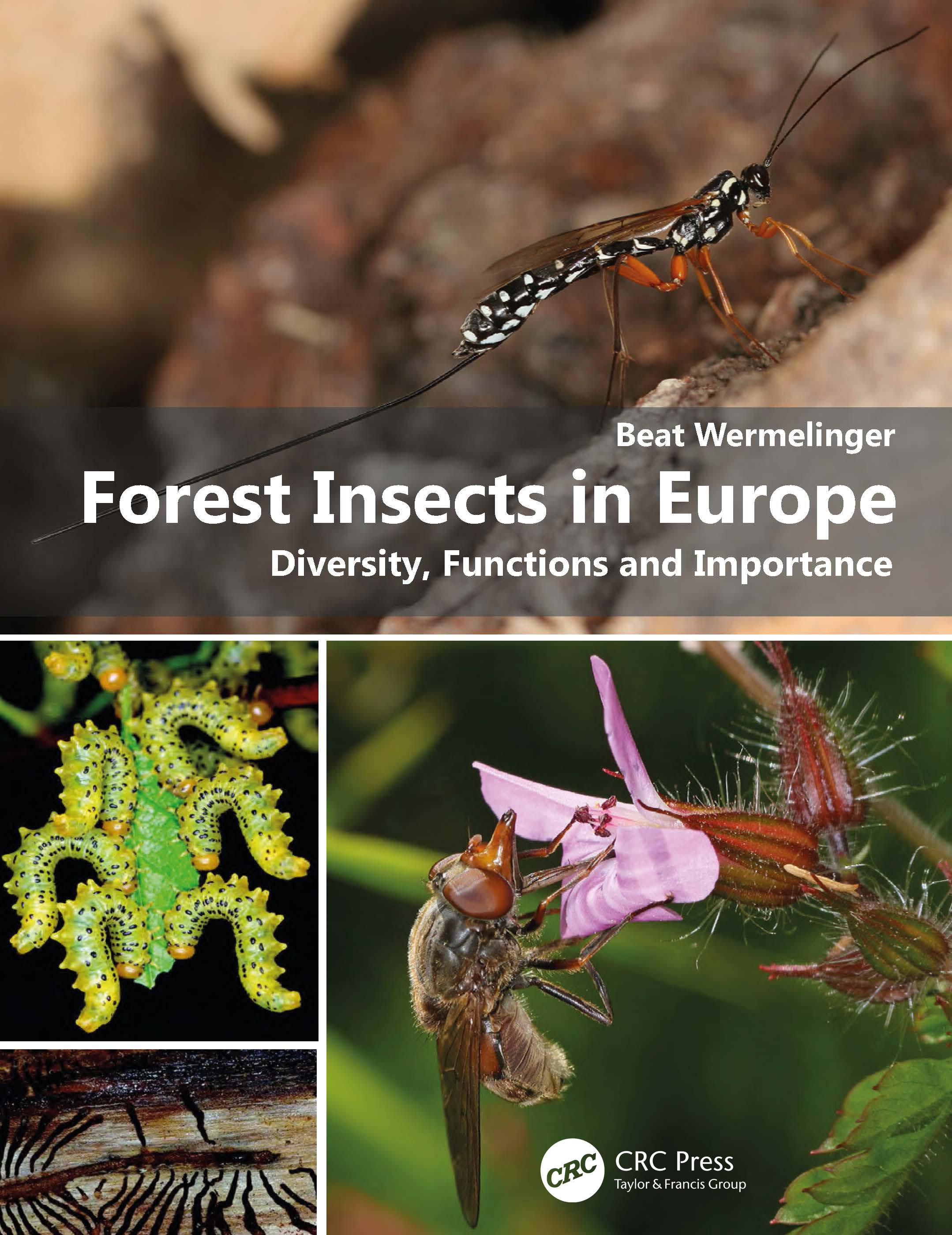 Vorderes Coverbild Forest Insects in Europe