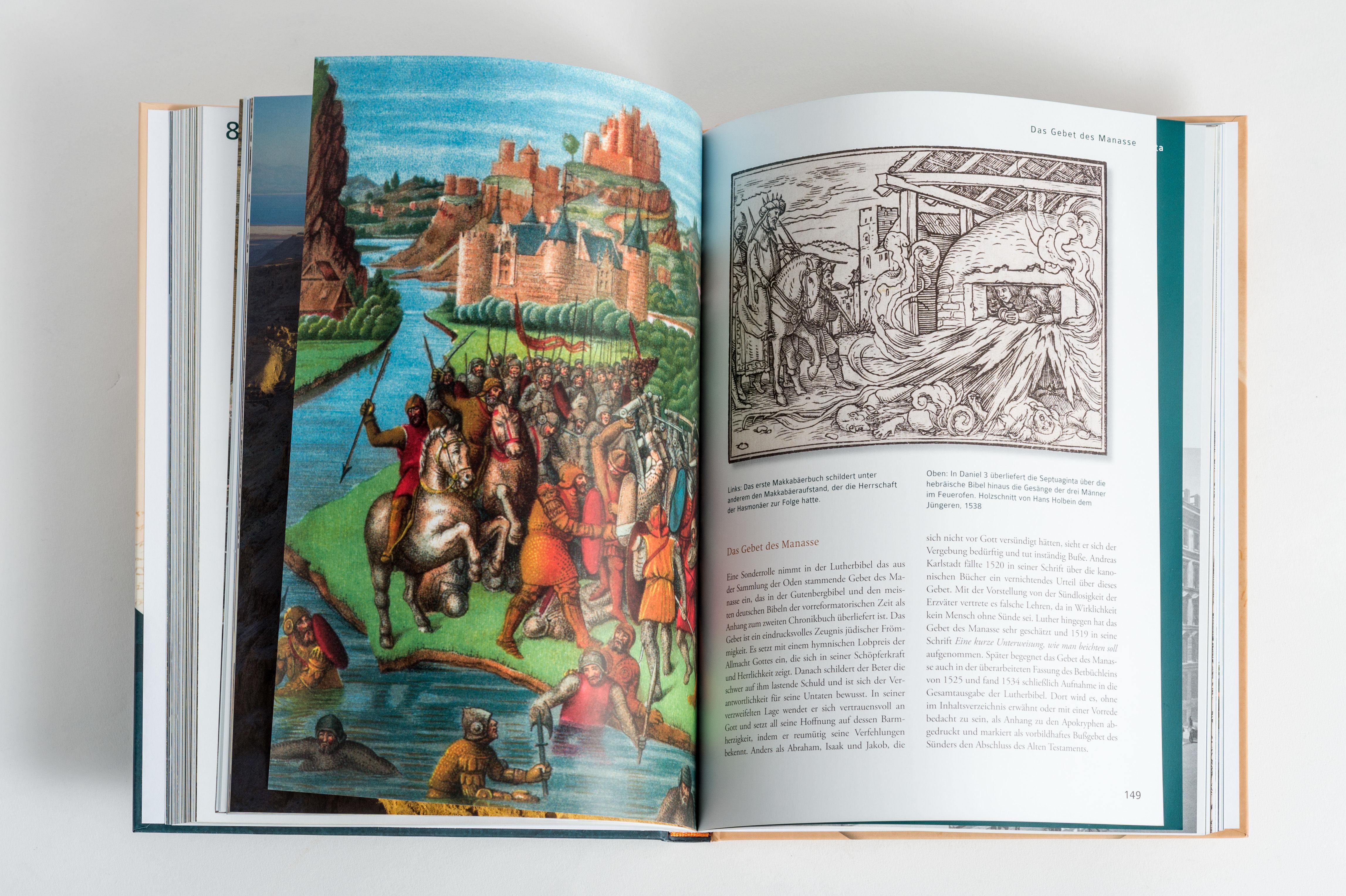 Beispielinhalt (Bild) Martin Luthers Bibel