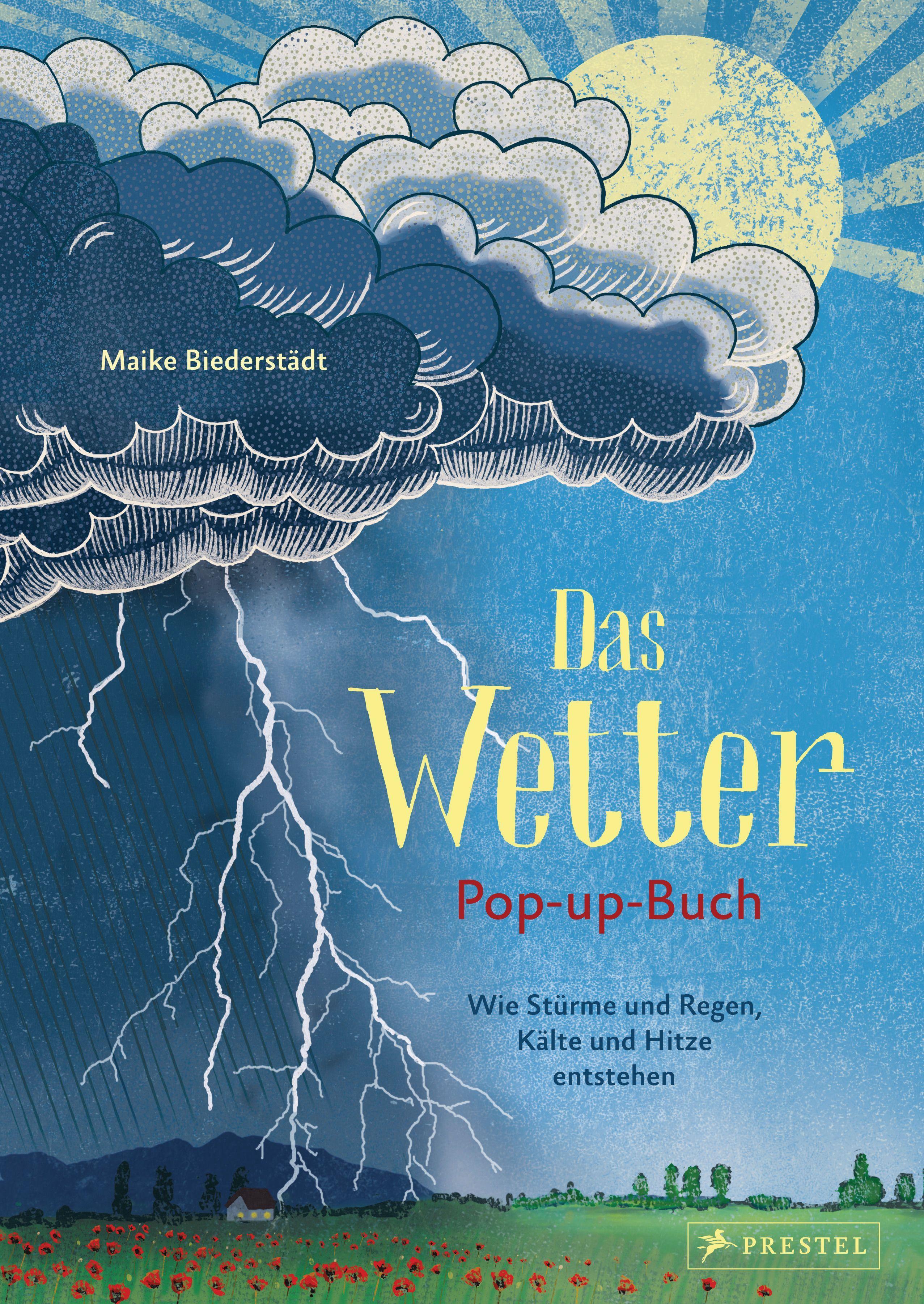 Vorderes Coverbild Das Wetter. Pop-up-Buch
