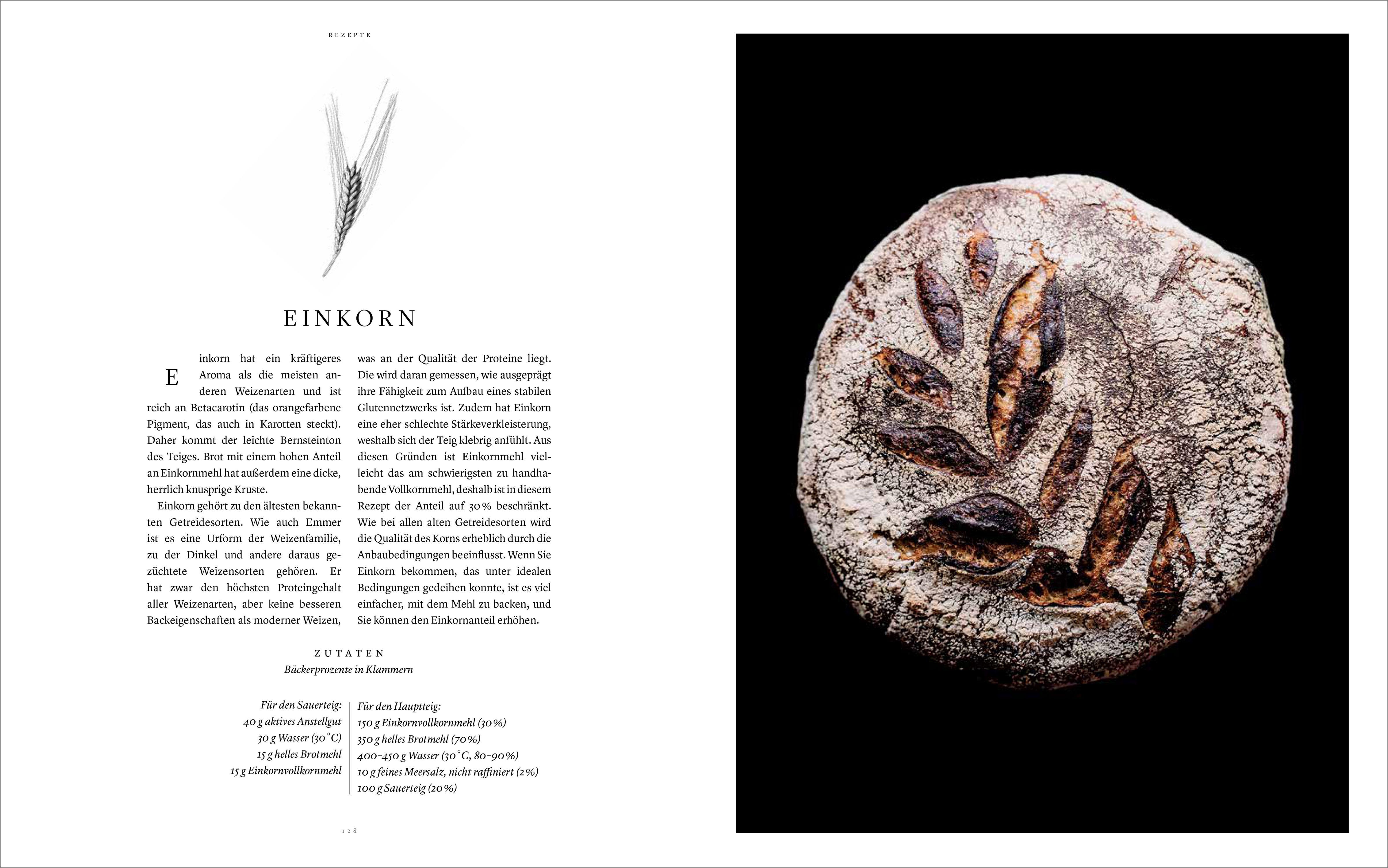 Beispielinhalt (Bild) Sauerteig. Gutes Brot backen
