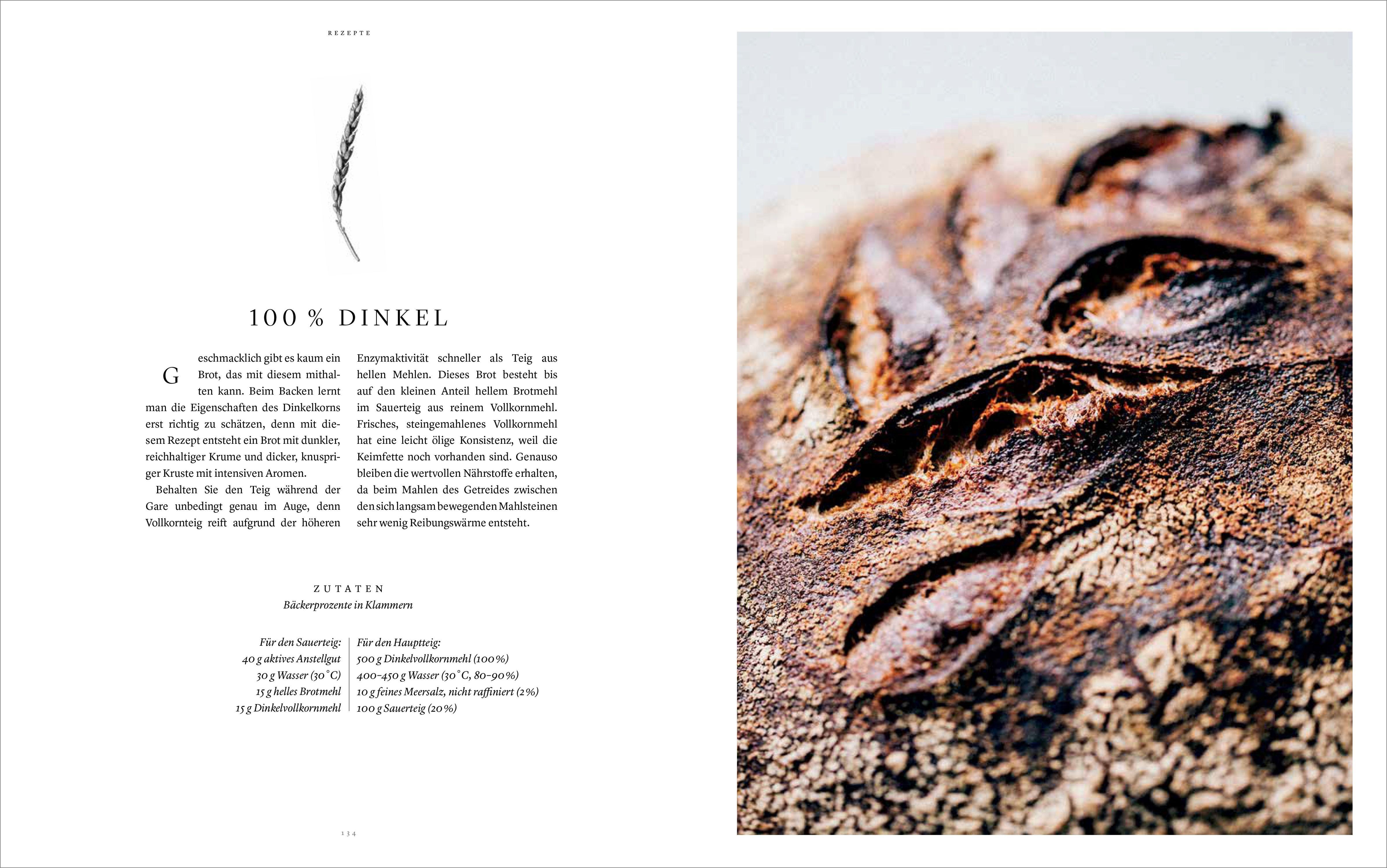 Beispielinhalt (Bild) Sauerteig. Gutes Brot backen