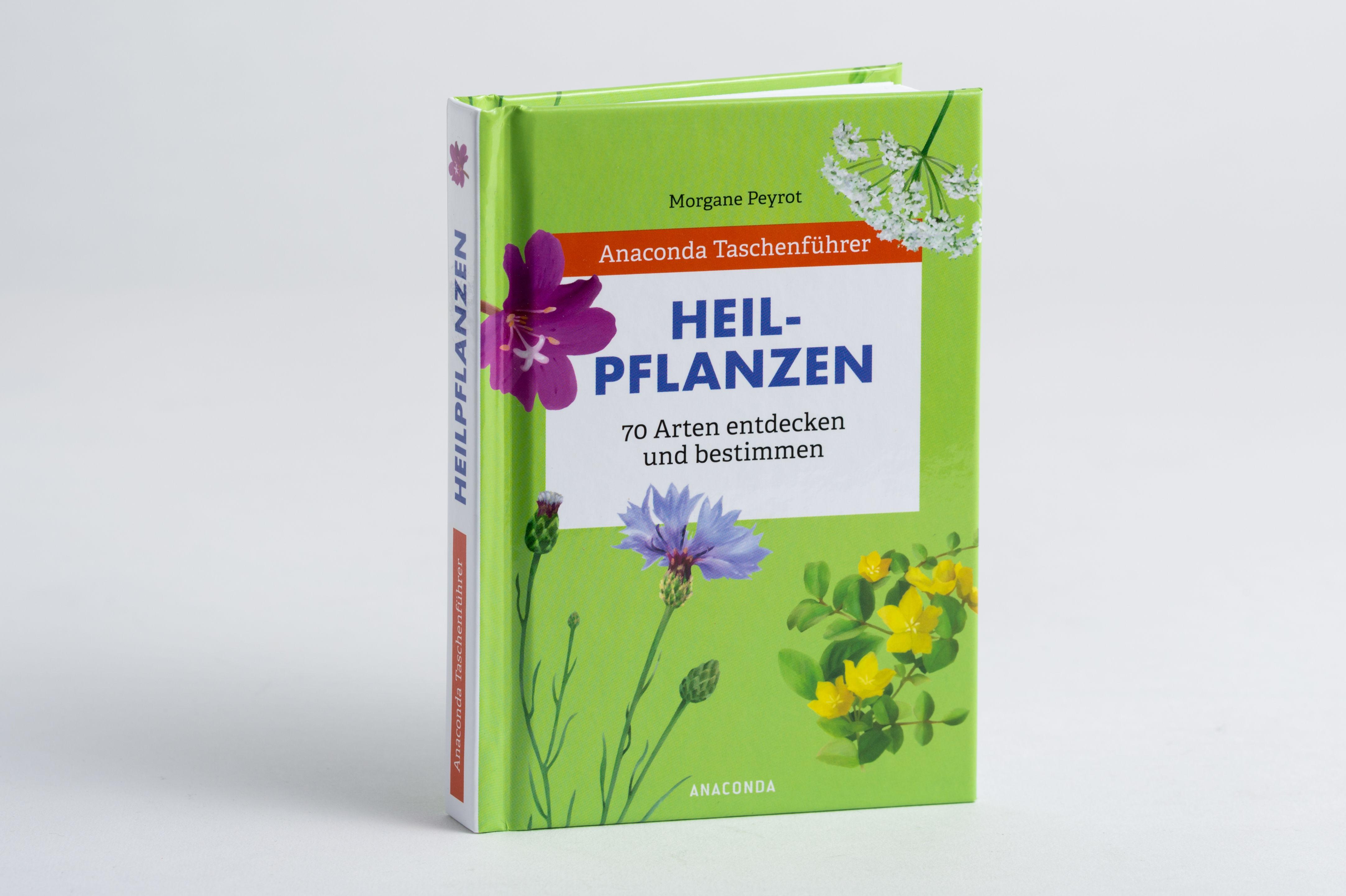 Beispielinhalt (Bild) Anaconda Taschenführer Heilpflanzen. 70 Arten entdecken und bestimmen