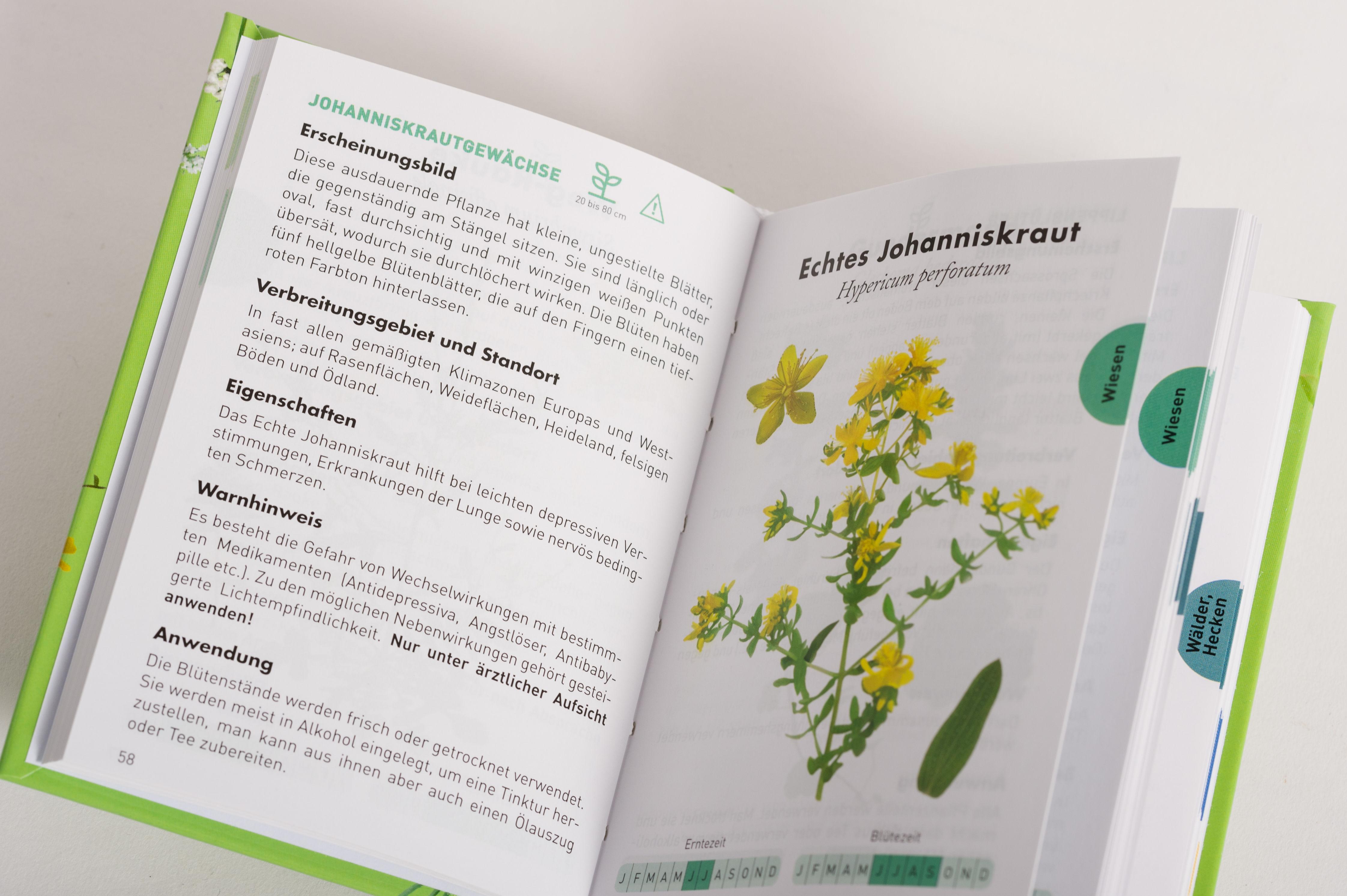 Beispielinhalt (Bild) Anaconda Taschenführer Heilpflanzen. 70 Arten entdecken und bestimmen