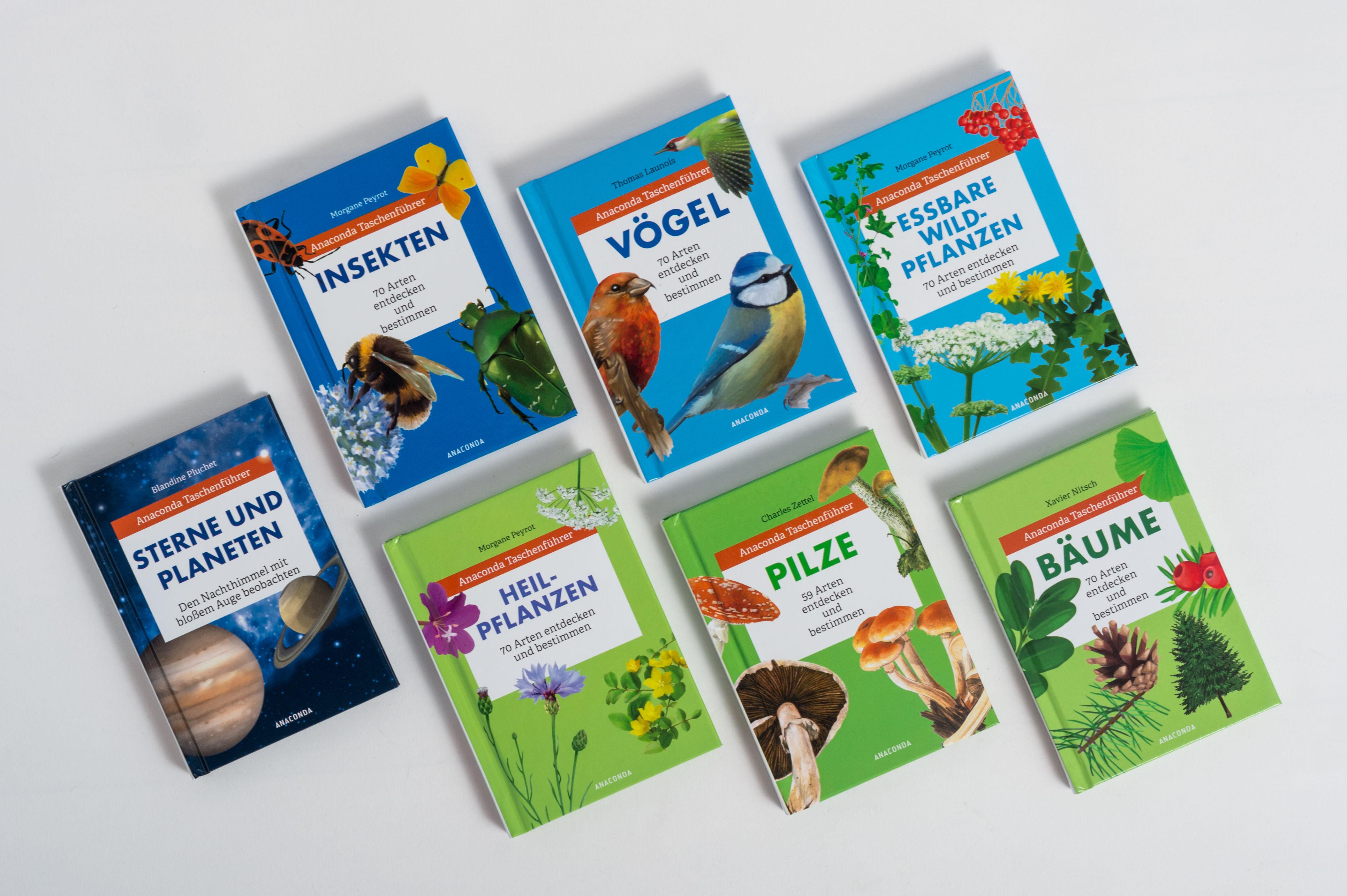 Beispielinhalt (Bild) Anaconda Taschenführer Heilpflanzen. 70 Arten entdecken und bestimmen