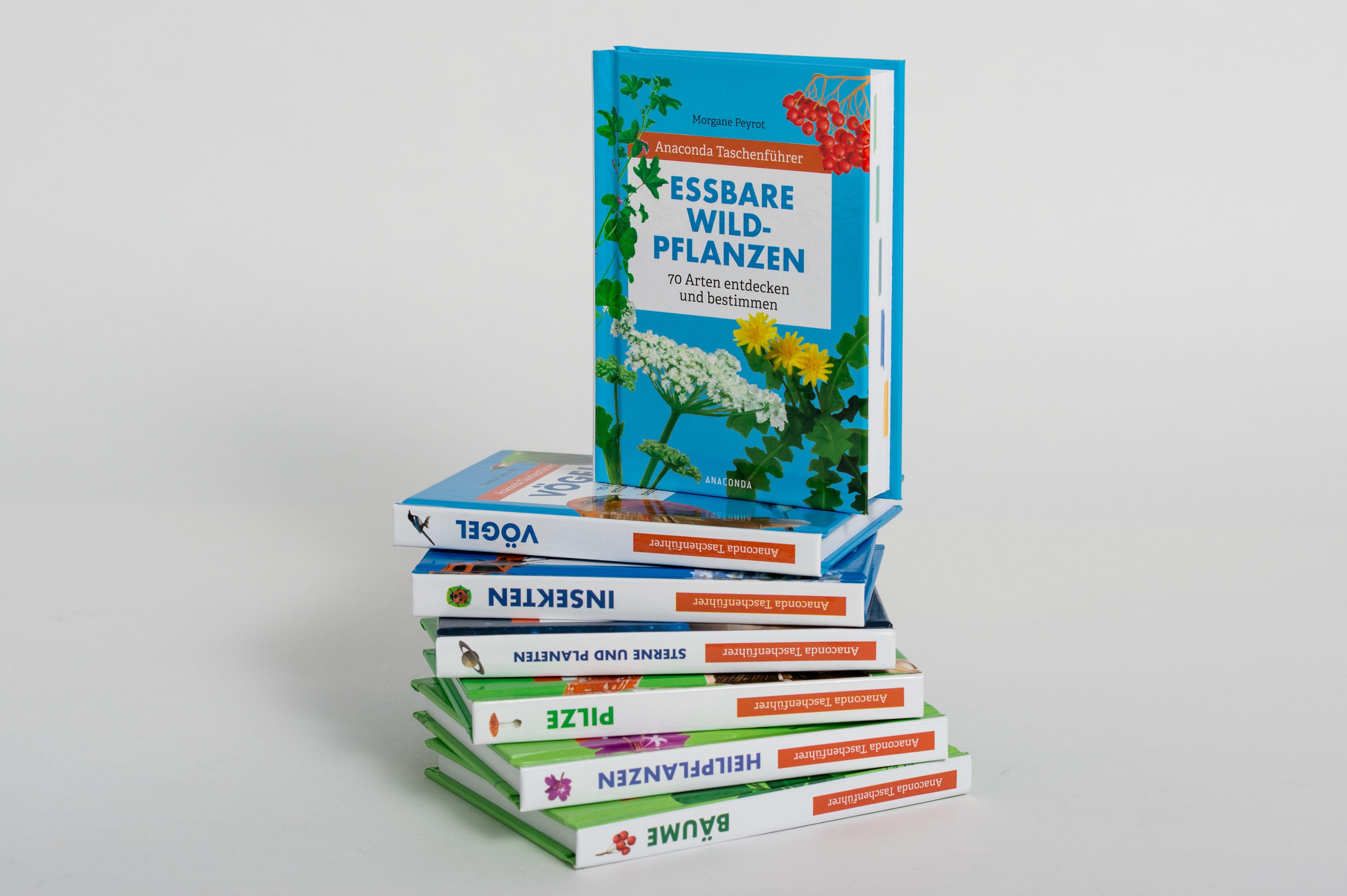 Beispielinhalt (Bild) Anaconda Taschenführer Heilpflanzen. 70 Arten entdecken und bestimmen