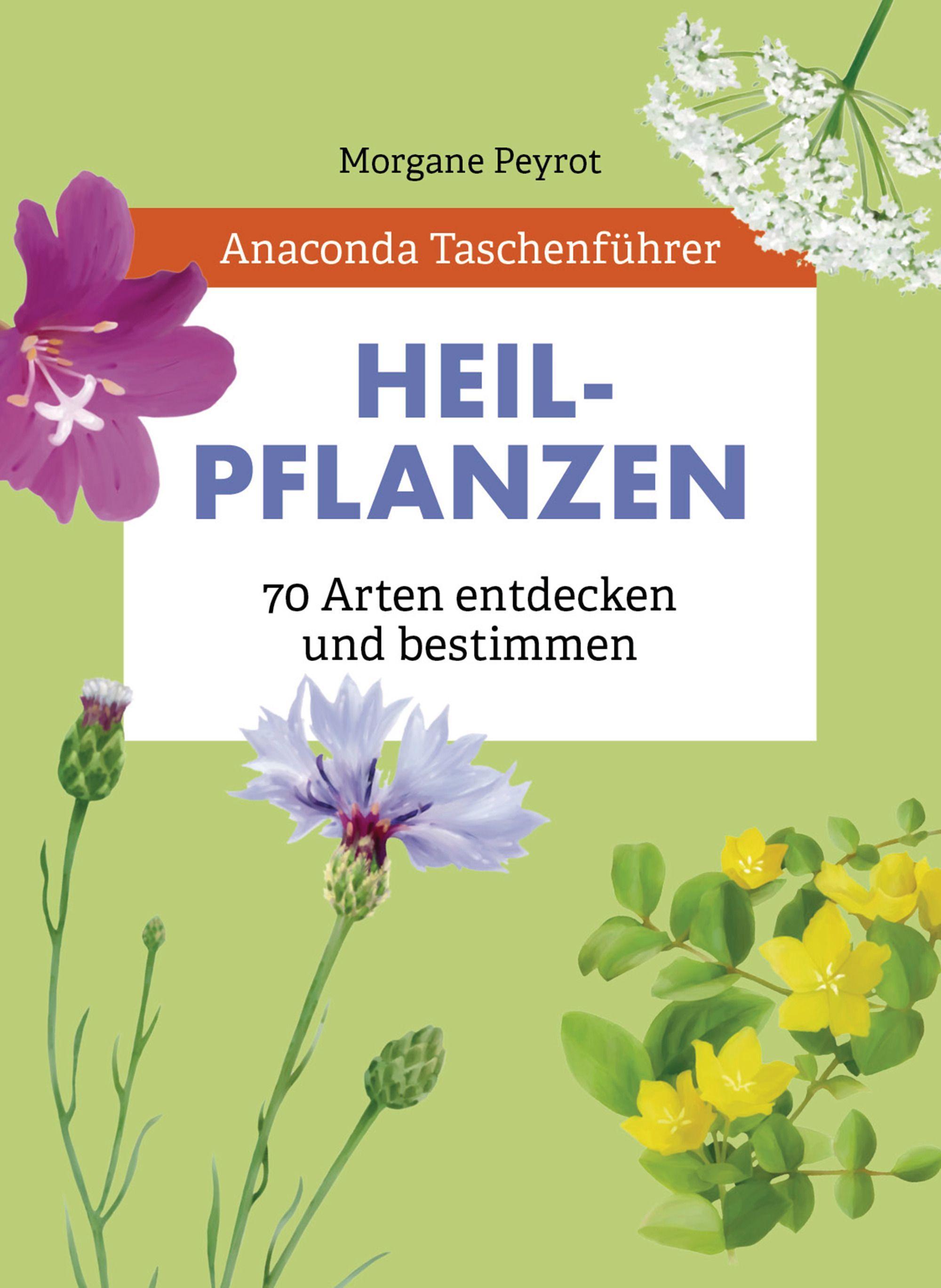 Vorderes Coverbild Anaconda Taschenführer Heilpflanzen. 70 Arten entdecken und bestimmen