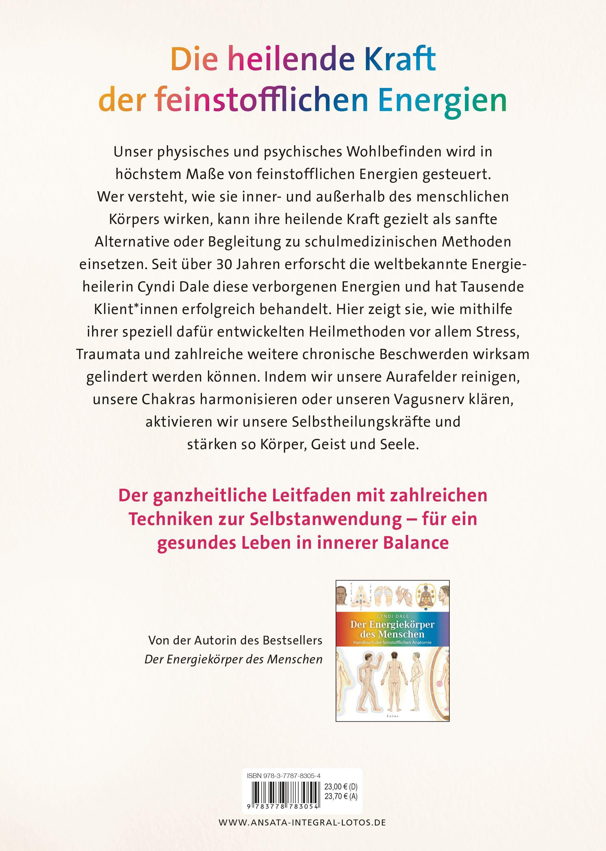 Beispielinhalt (Bild) Energieheilung für Stress, Trauma und chronische Beschwerden