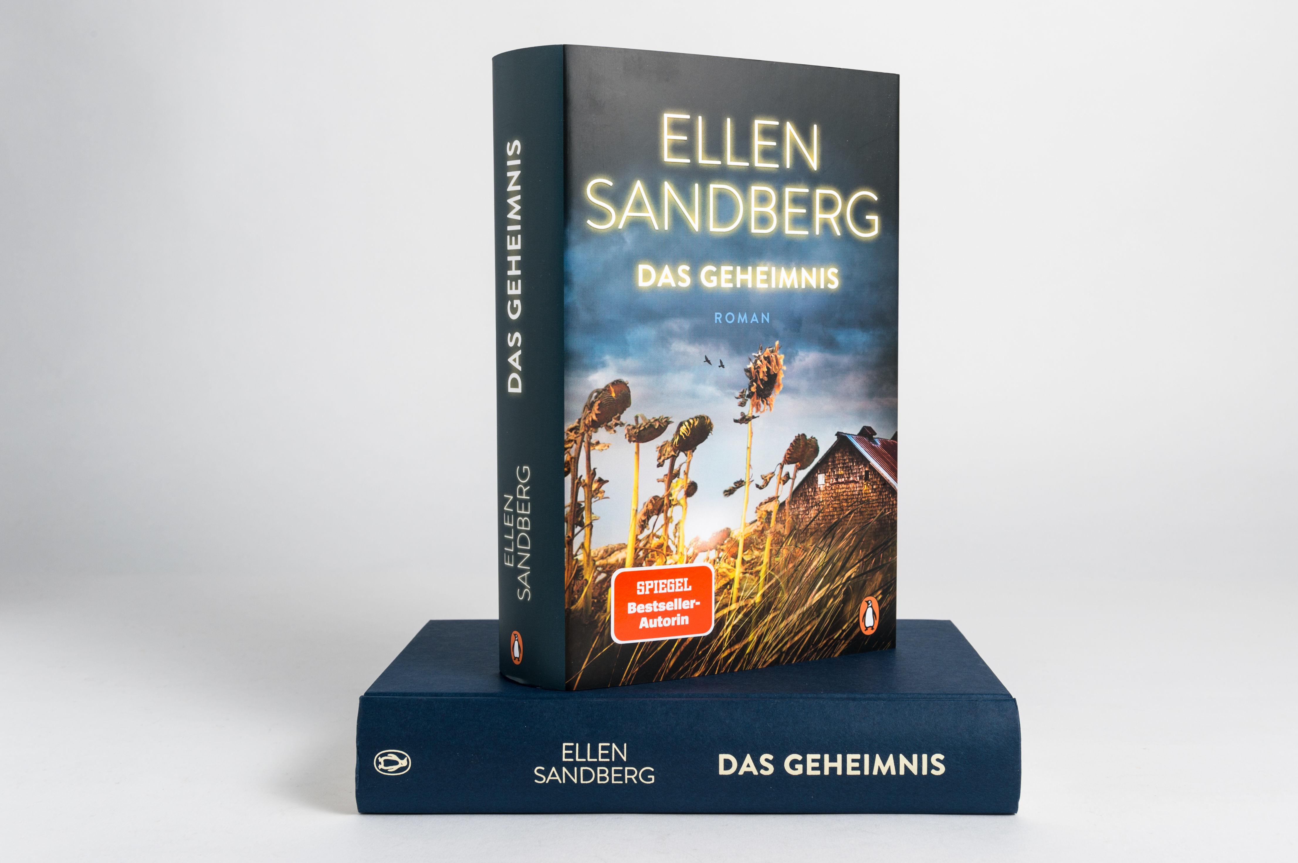 Beispielinhalt (Bild) Das Geheimnis