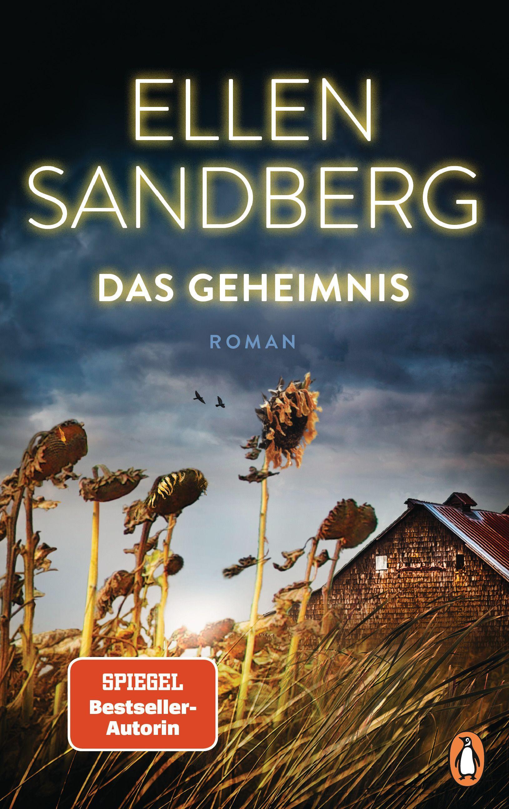 Vorderes Coverbild Das Geheimnis