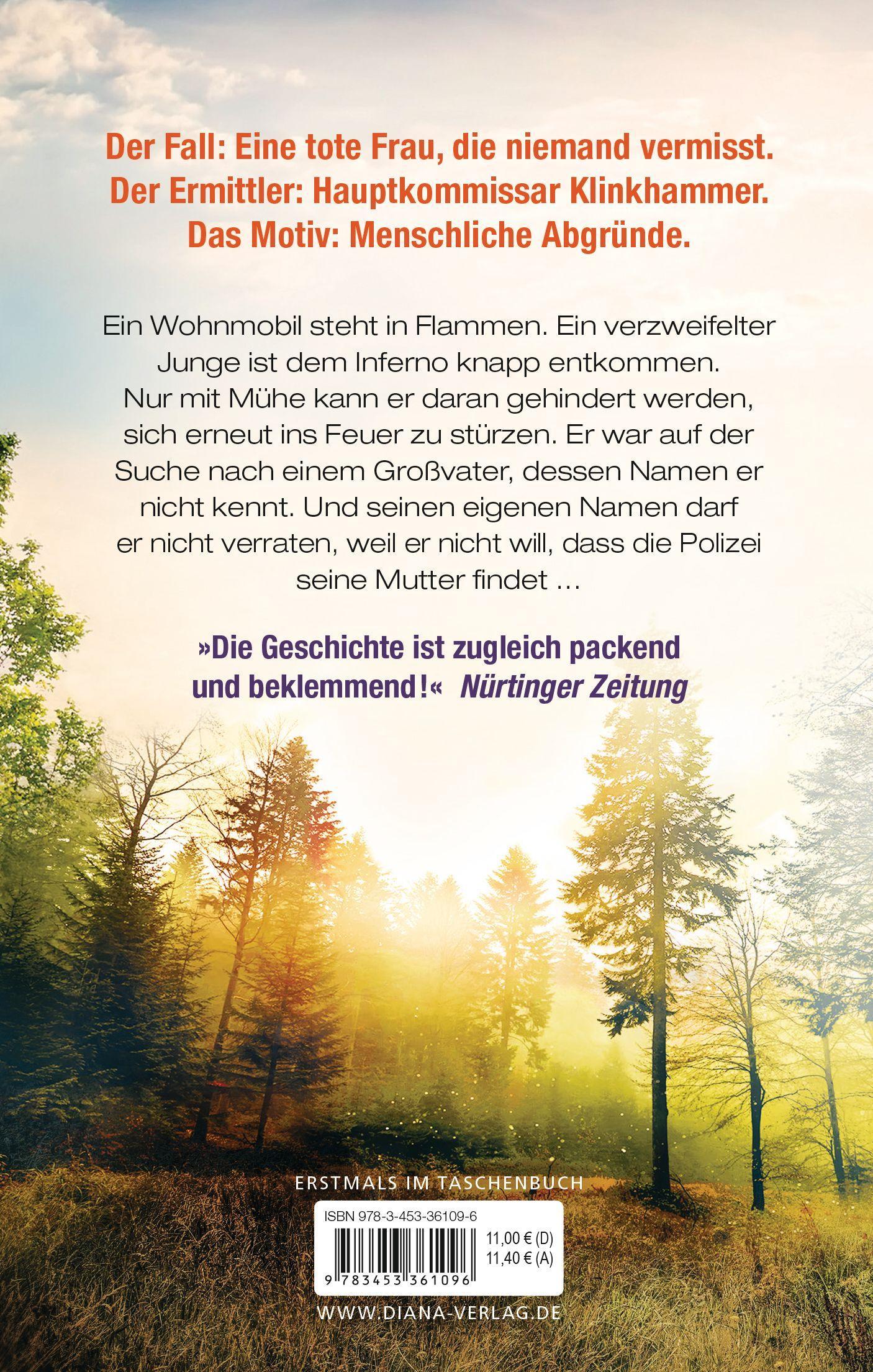 Beispielinhalt (Bild) Nach dem Feuer