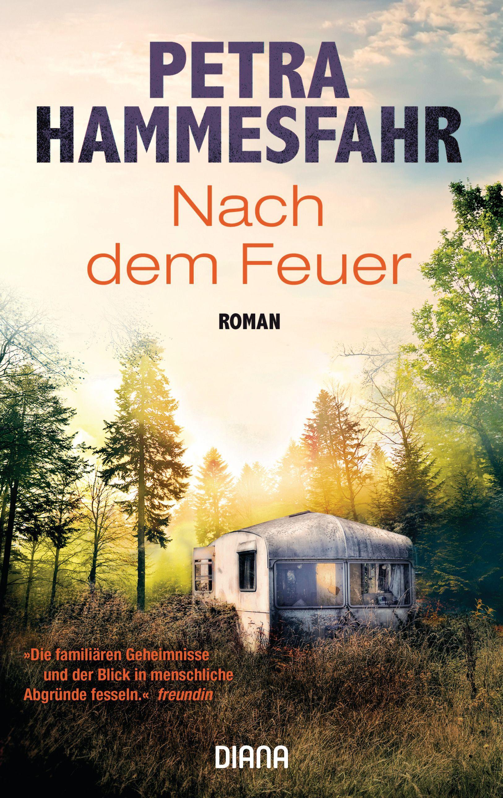 Vorderes Coverbild Nach dem Feuer