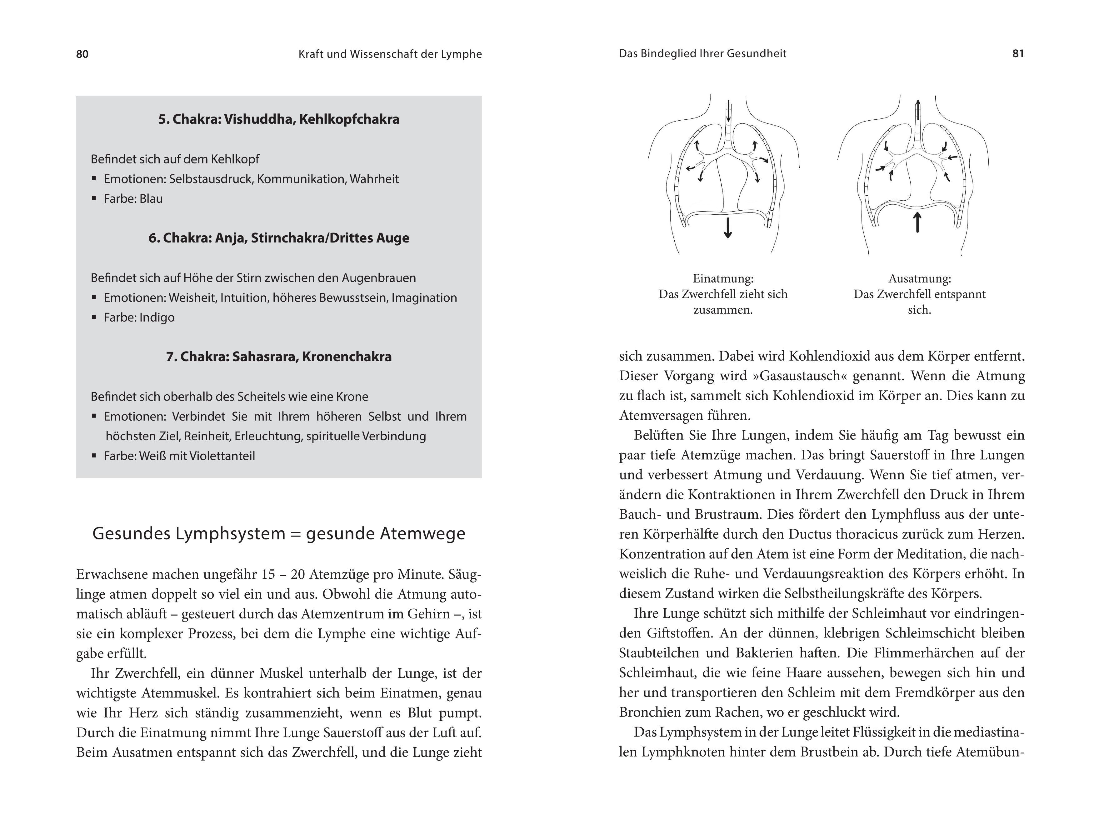 Beispielinhalt (Bild) Die heilende Kraft der Lymphe
