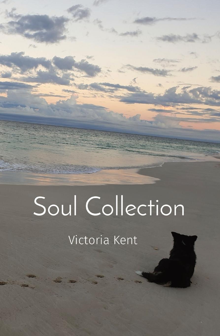 Vorderes Coverbild Soul Collection