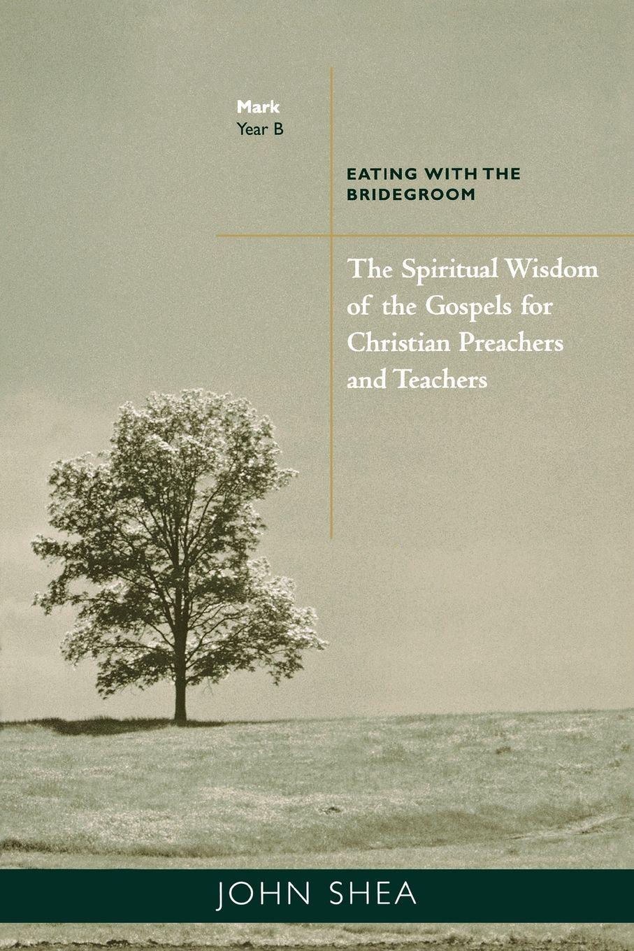 Vorderes Coverbild Spiritual Wisdom of the Gospels for Christian Preachers and Teachers