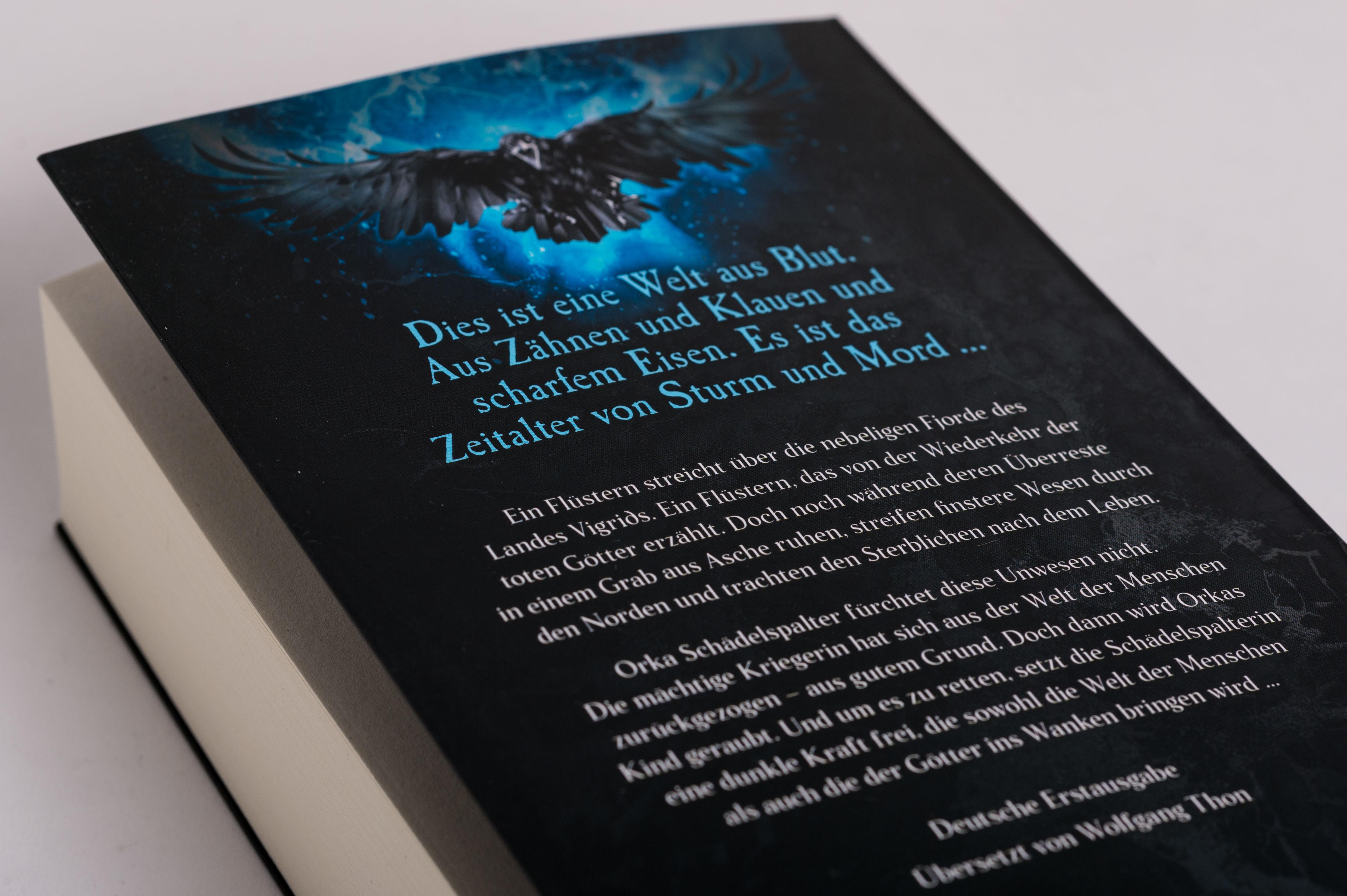 Beispielinhalt (Bild) Nordnacht