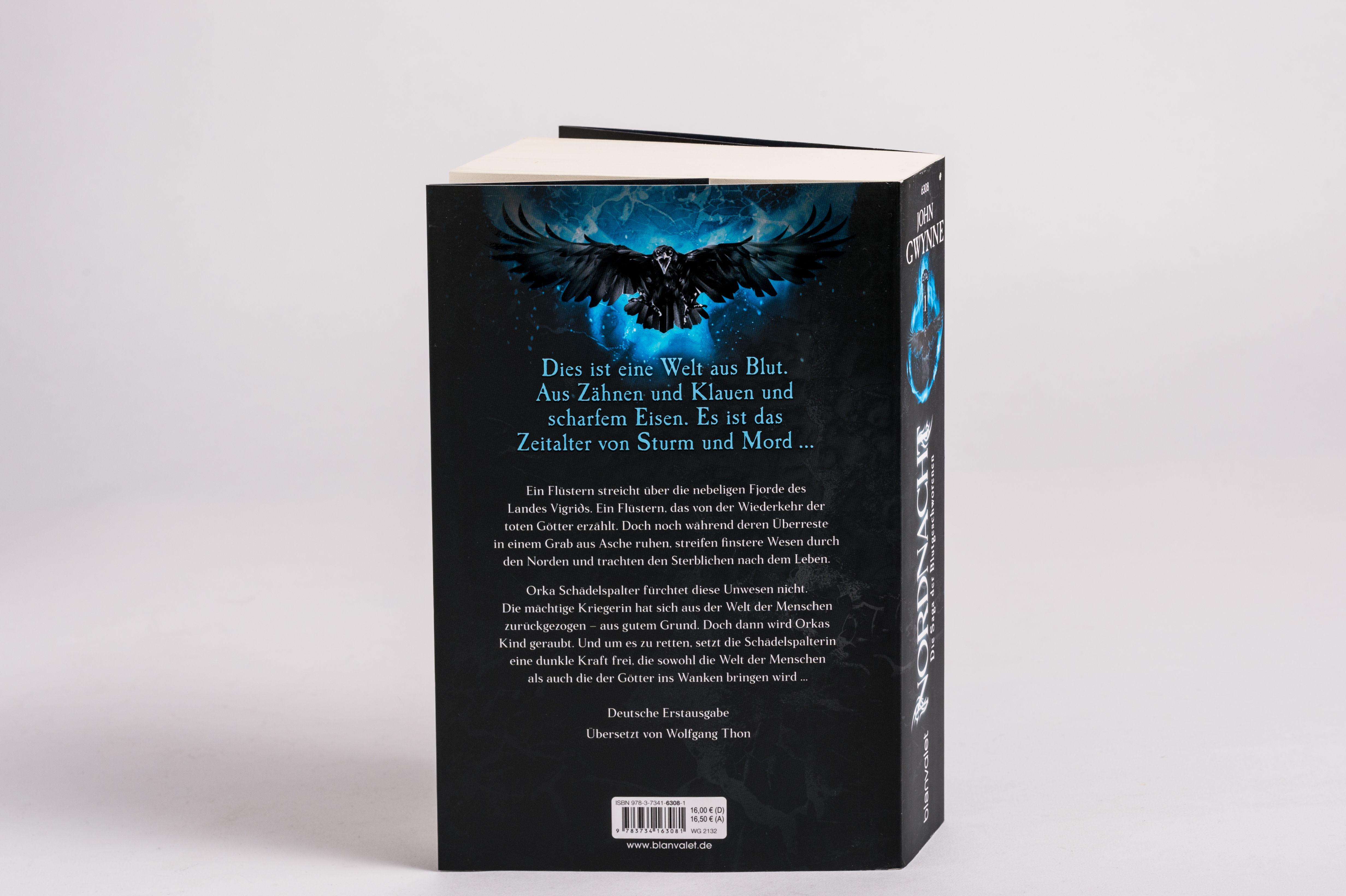 Beispielinhalt (Bild) Nordnacht