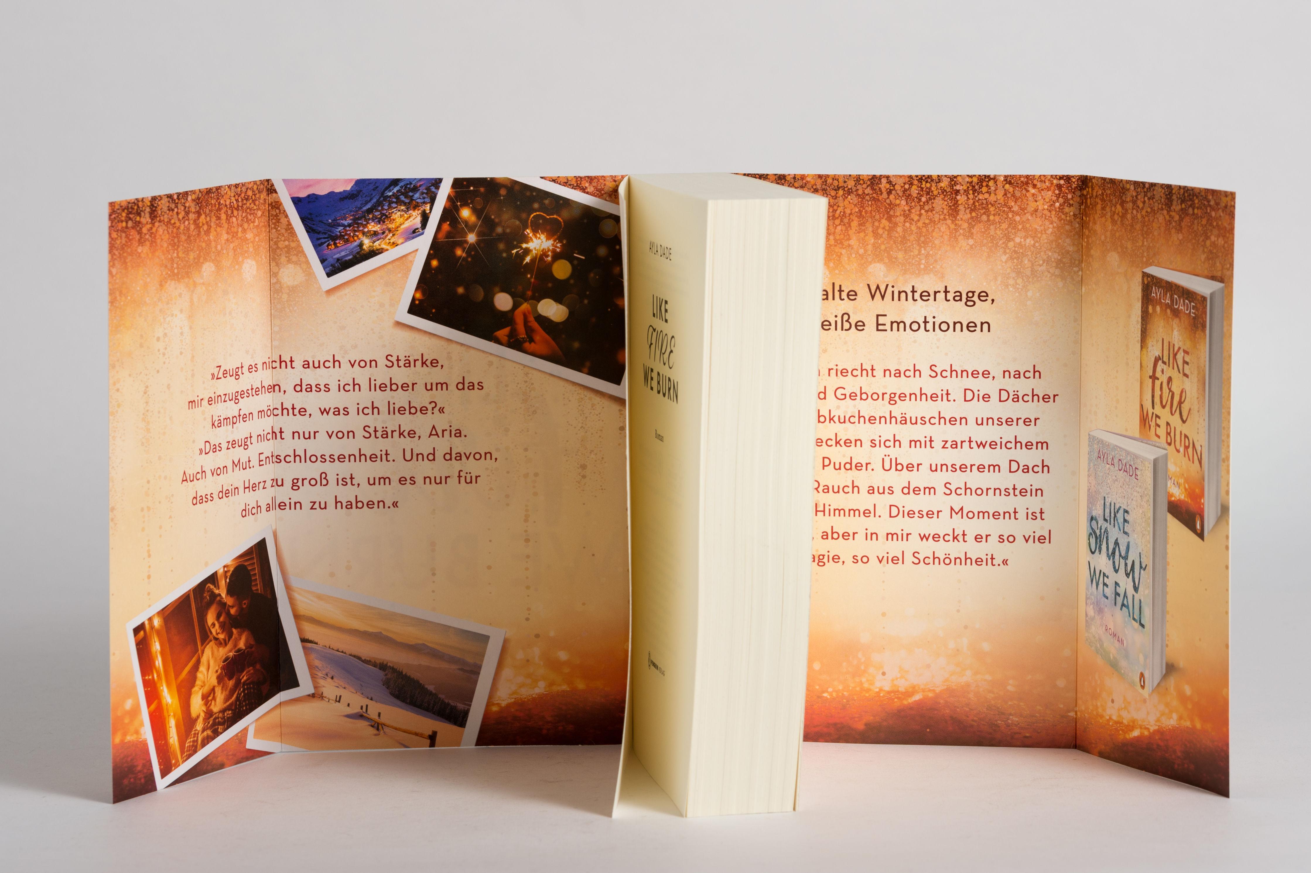 Beispielinhalt (Bild) Like Fire We Burn