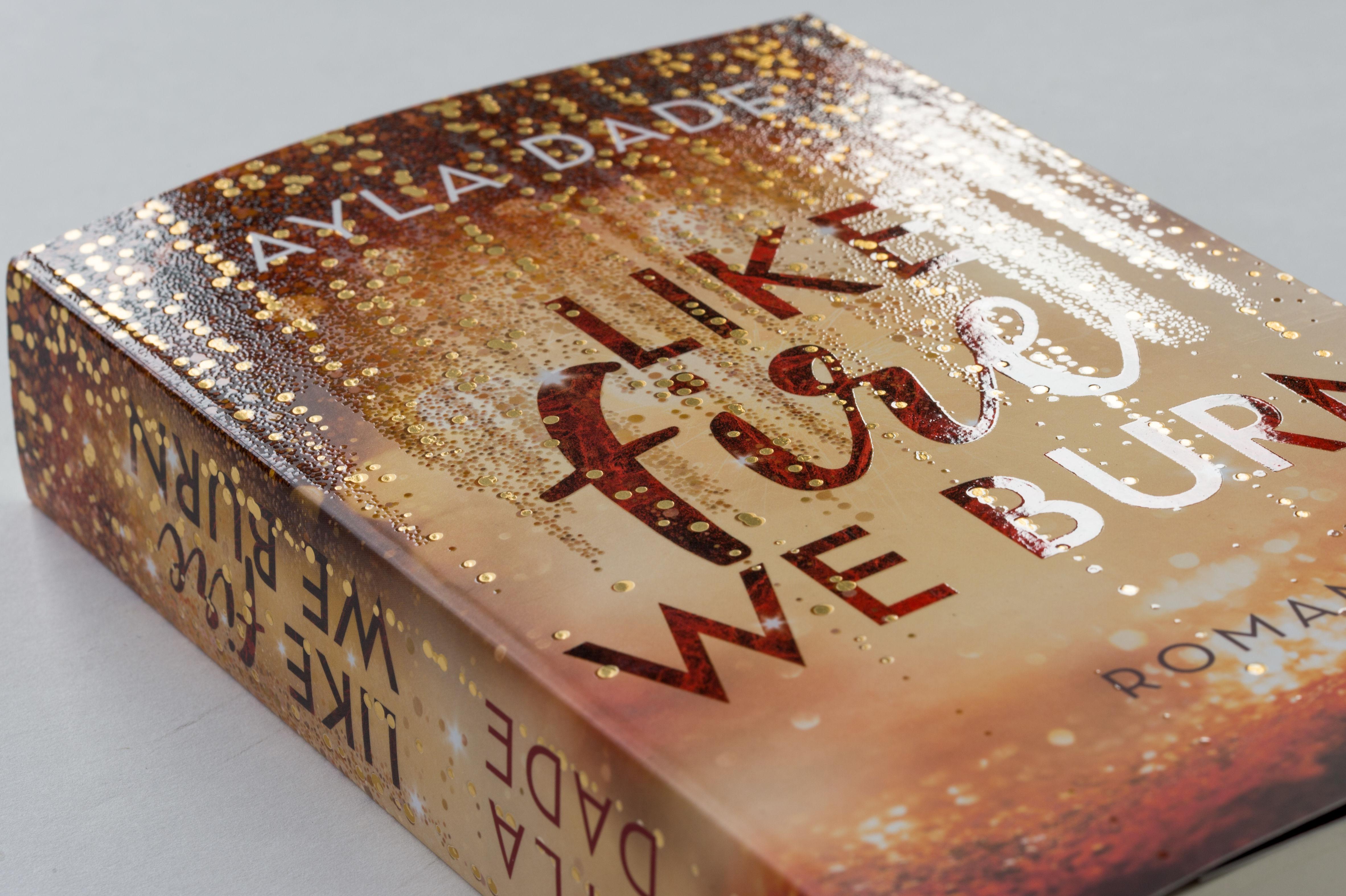 Beispielinhalt (Bild) Like Fire We Burn