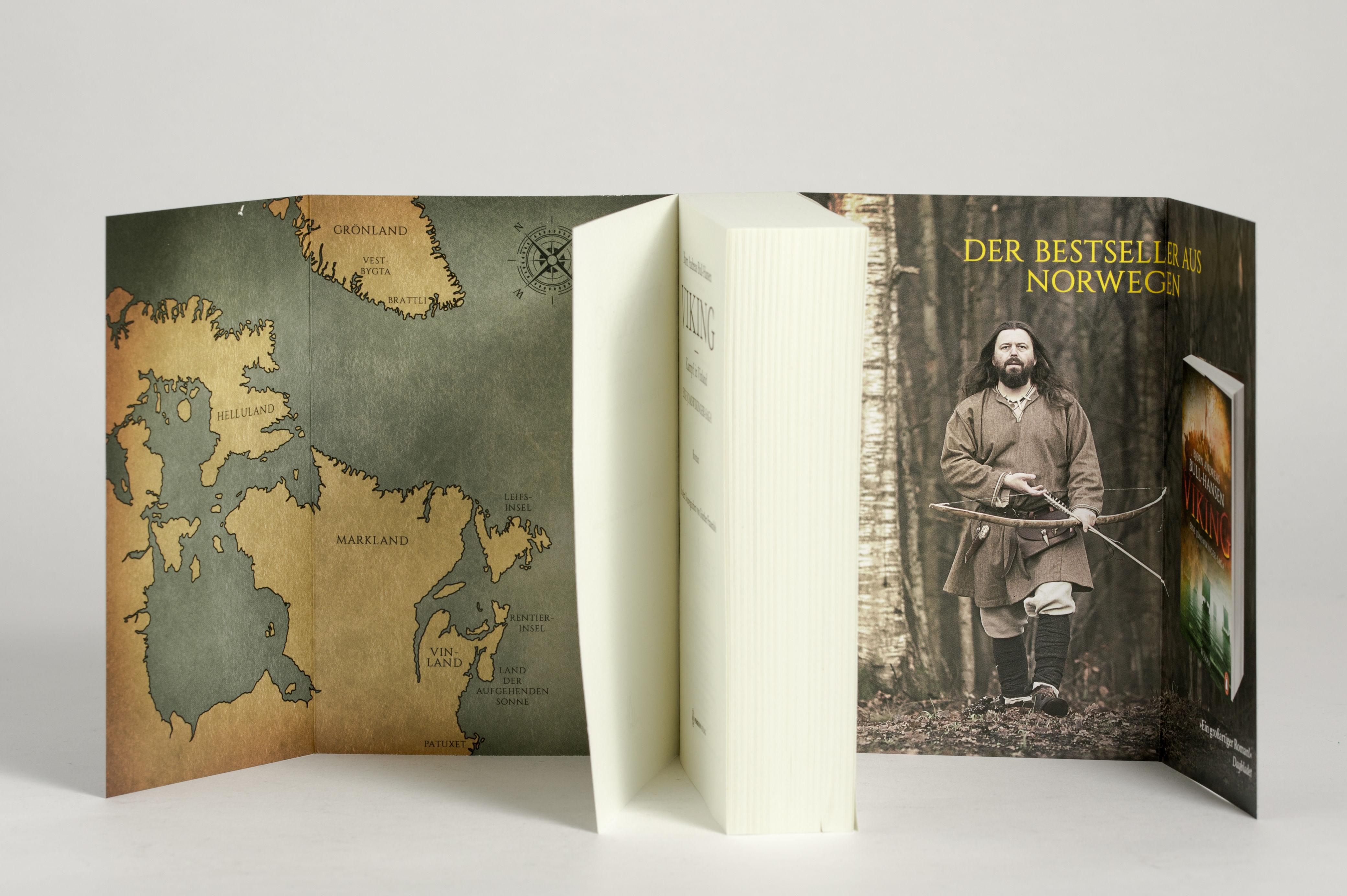 Beispielinhalt (Bild) VIKING - Kampf in Vinland