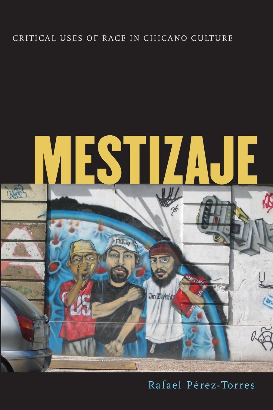 Vorderes Coverbild Mestizaje