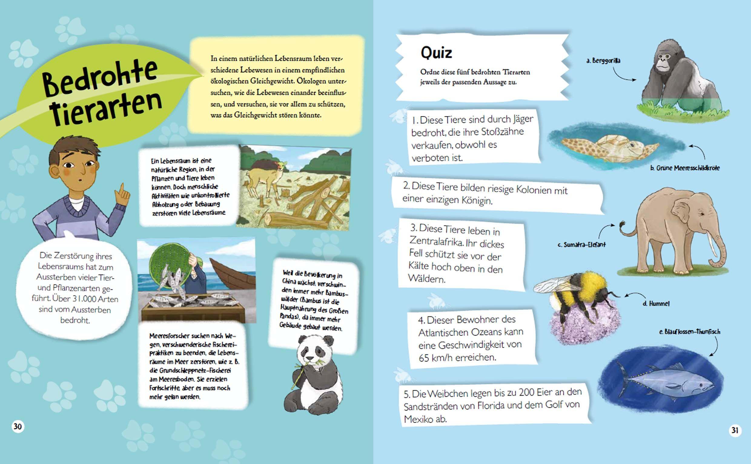 Beispielinhalt (Bild) Sei ein Umwelt-Held! Mit Rätseln, Experimenten, Spielen und Basteleien die Umwelt verstehen und schützen lernen