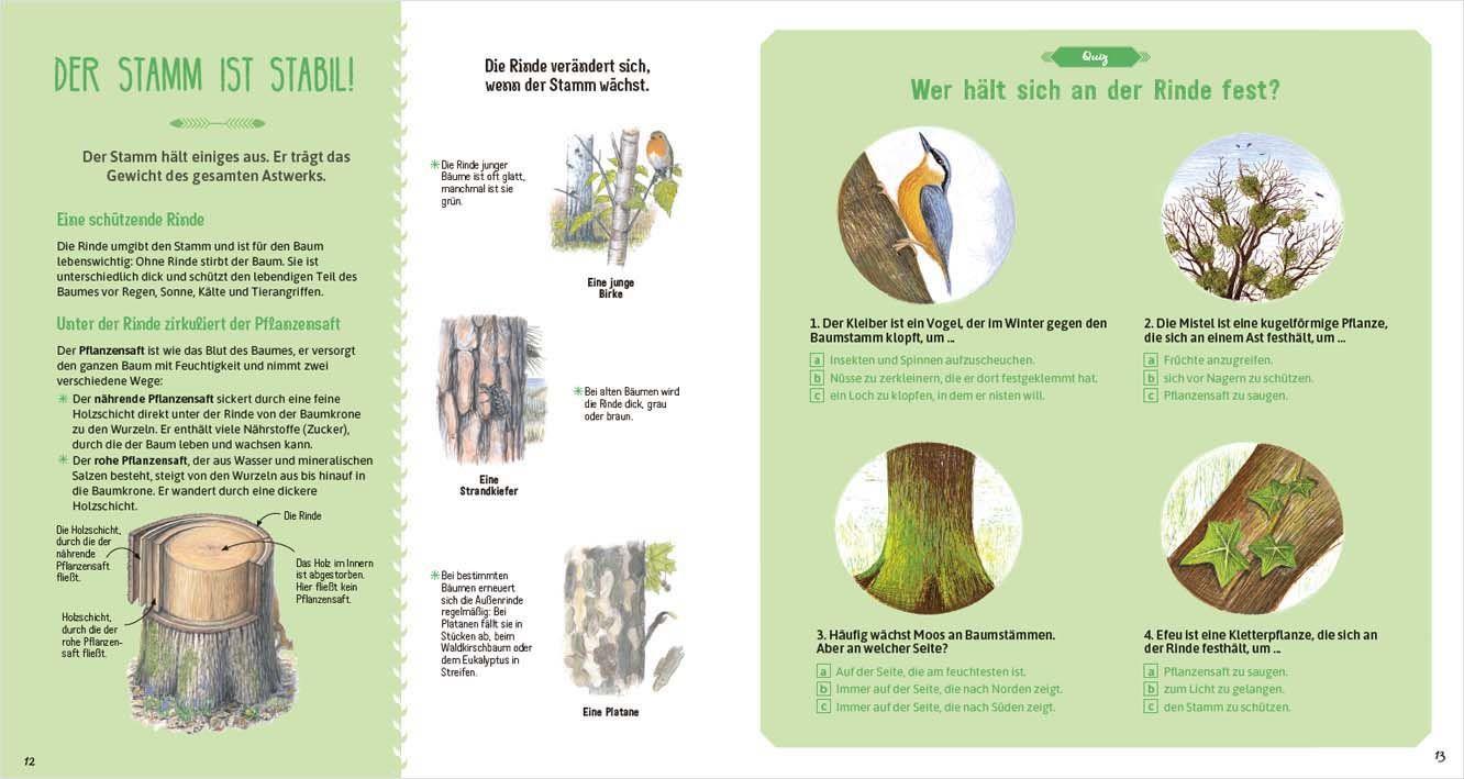 Beispielinhalt (Bild) Das große Buch der Bäume