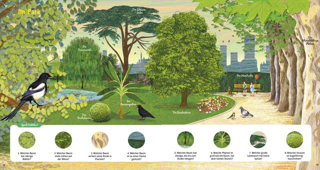 Beispielinhalt (Bild) Das große Buch der Bäume