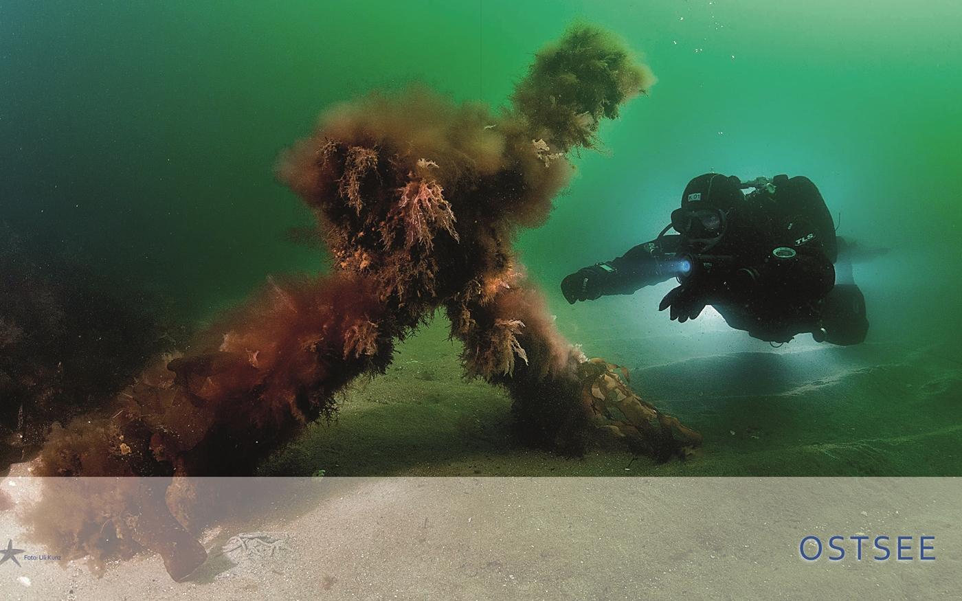 Beispielinhalt (Bild) Zeitreisen unter Wasser