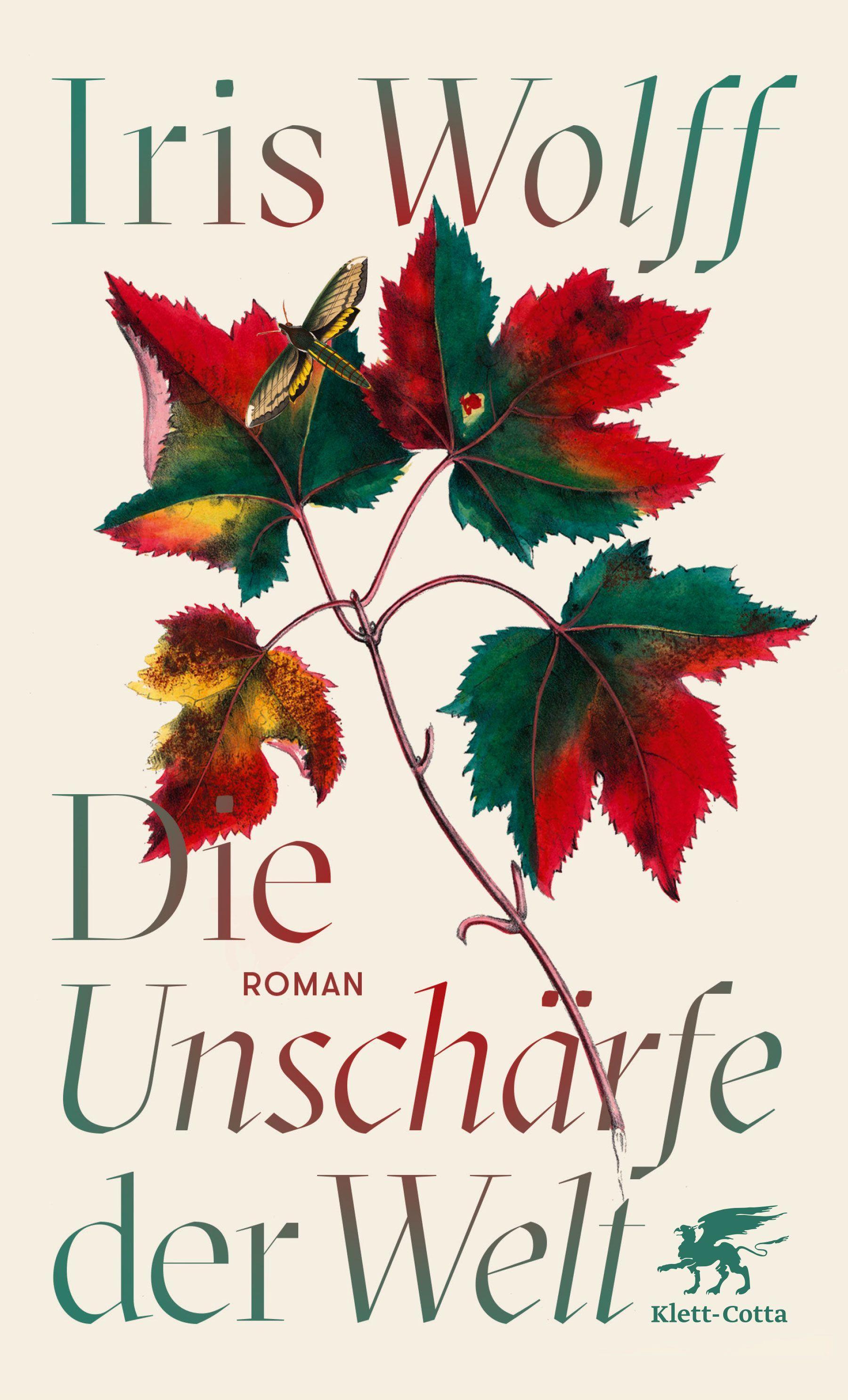 Vorderes Coverbild Die Unschärfe der Welt