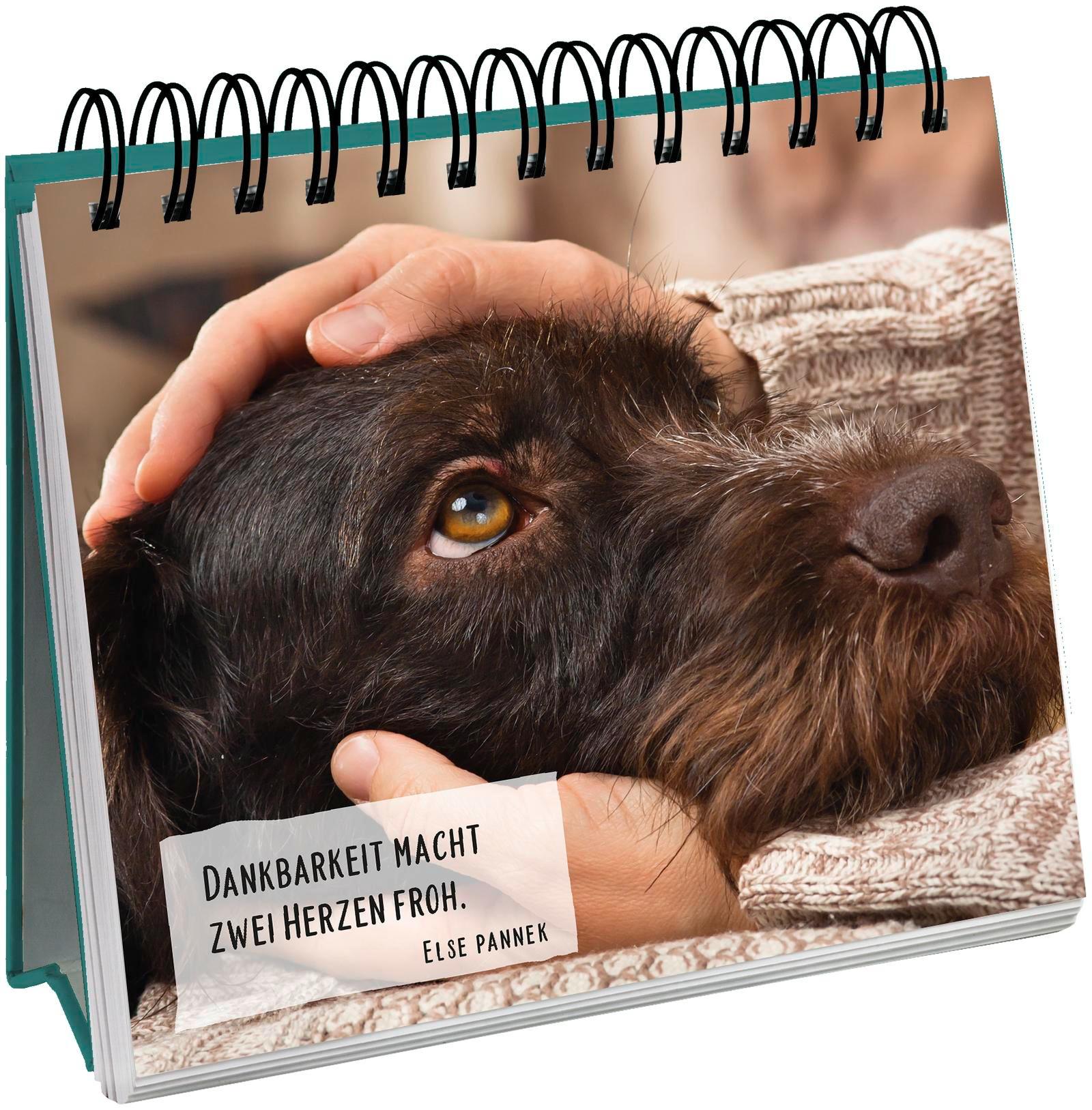 Beispielinhalt (Bild) Für Hundefreunde