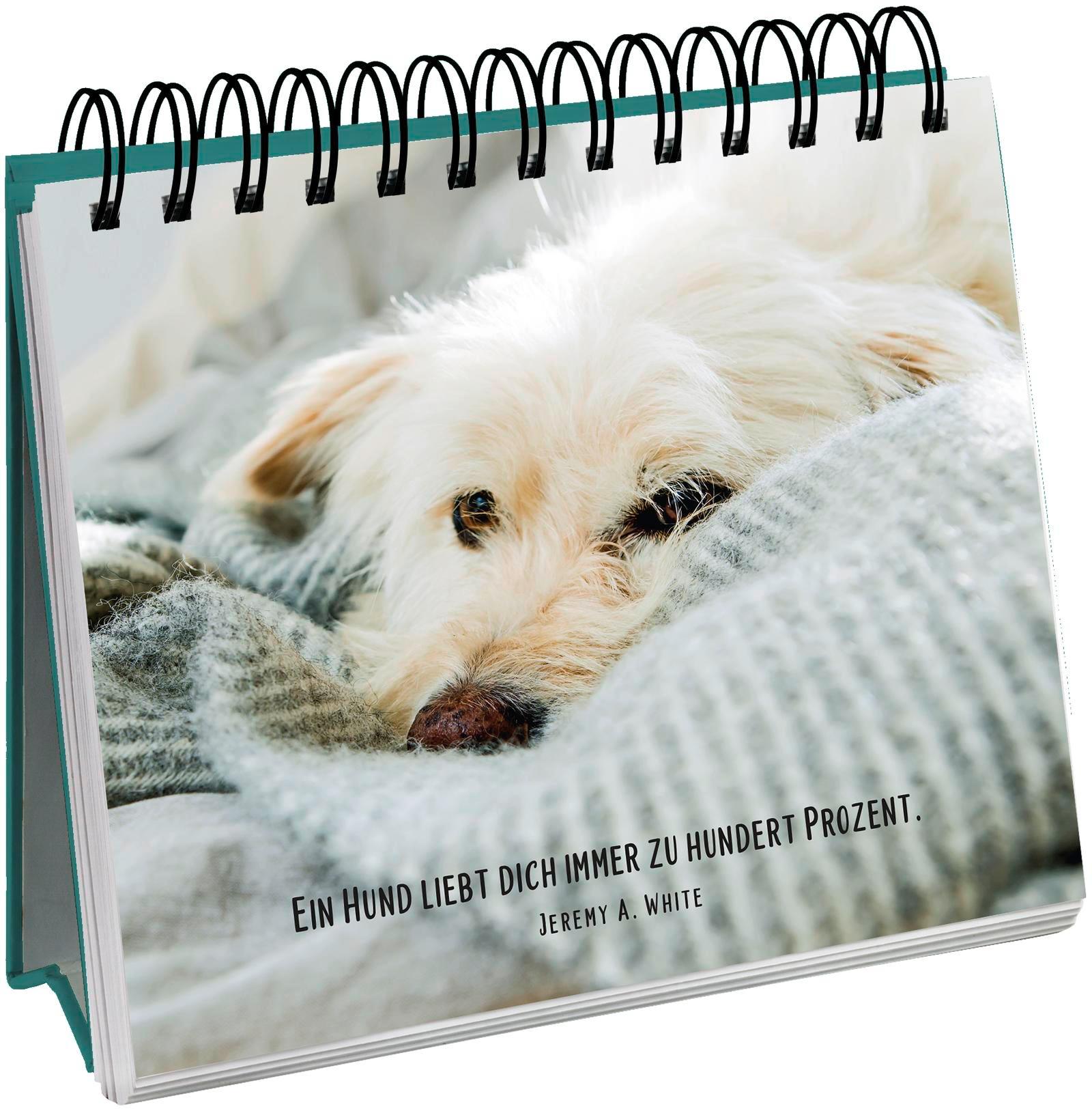 Beispielinhalt (Bild) Für Hundefreunde