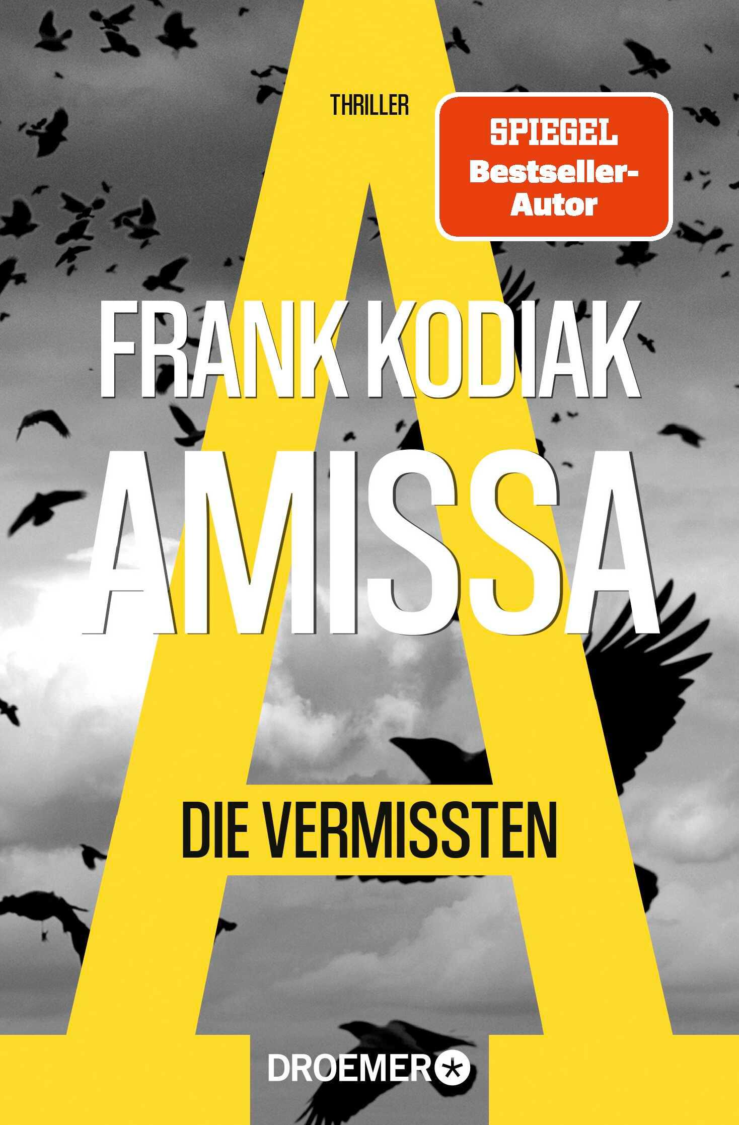 Vorderes Coverbild Amissa. Die Vermissten
