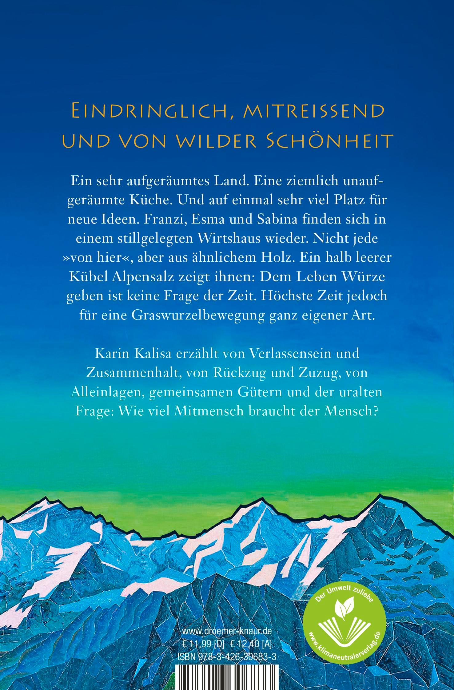 Rückseitencover Bergsalz