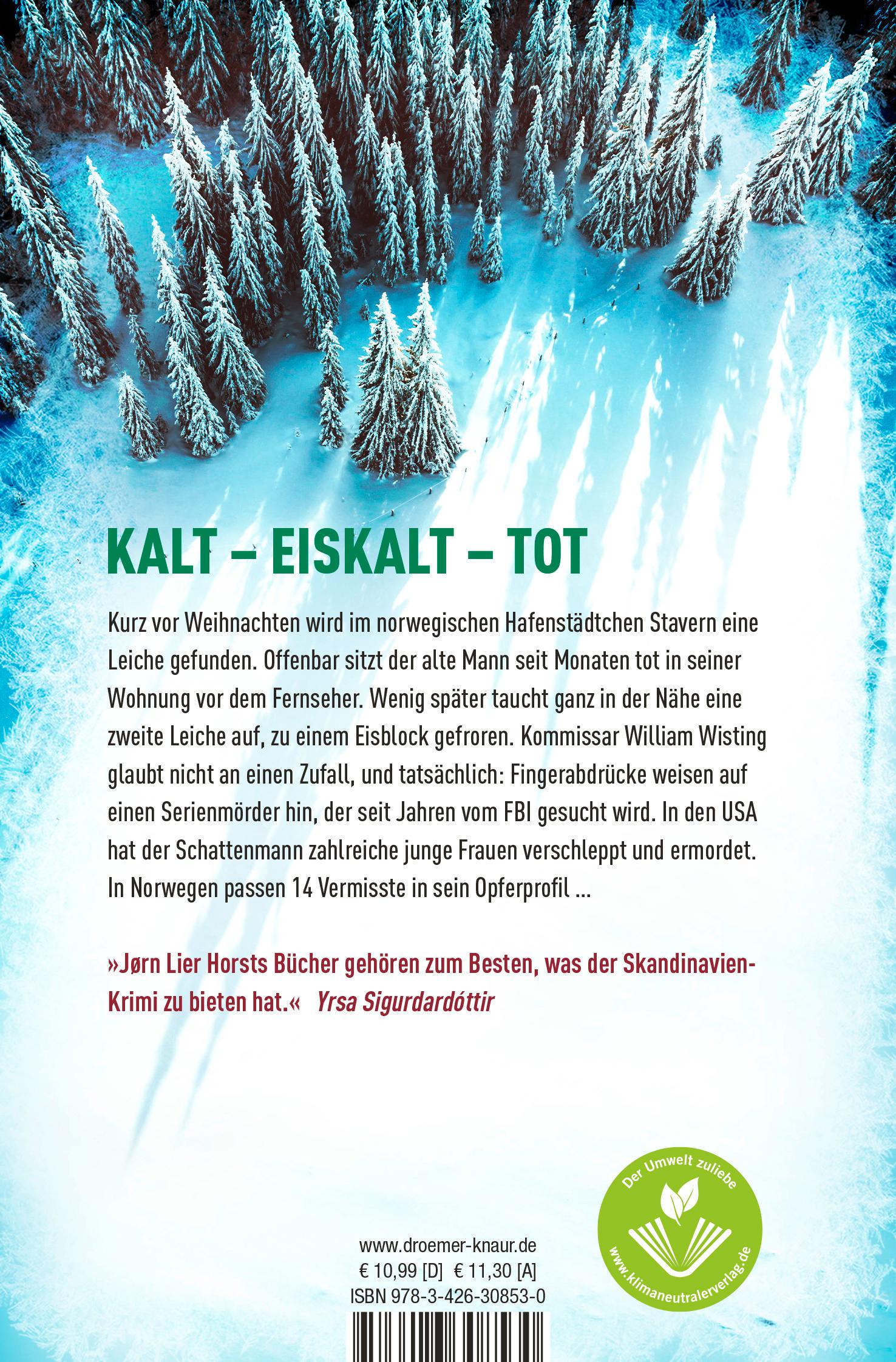 Rückseitencover Eisige Schatten