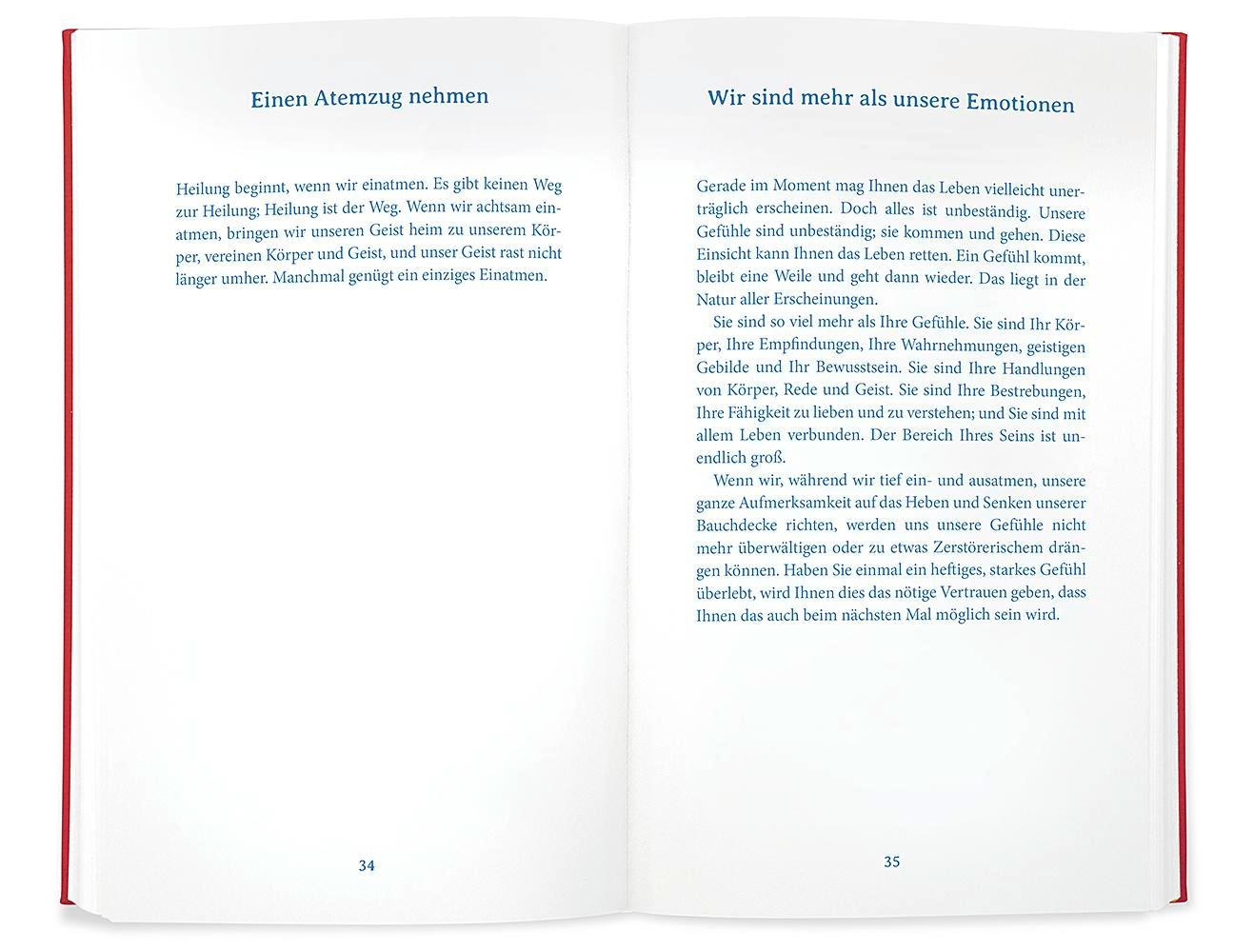 Beispielinhalt (Bild) Wie weiterleben, wenn ein geliebter Mensch stirbt?